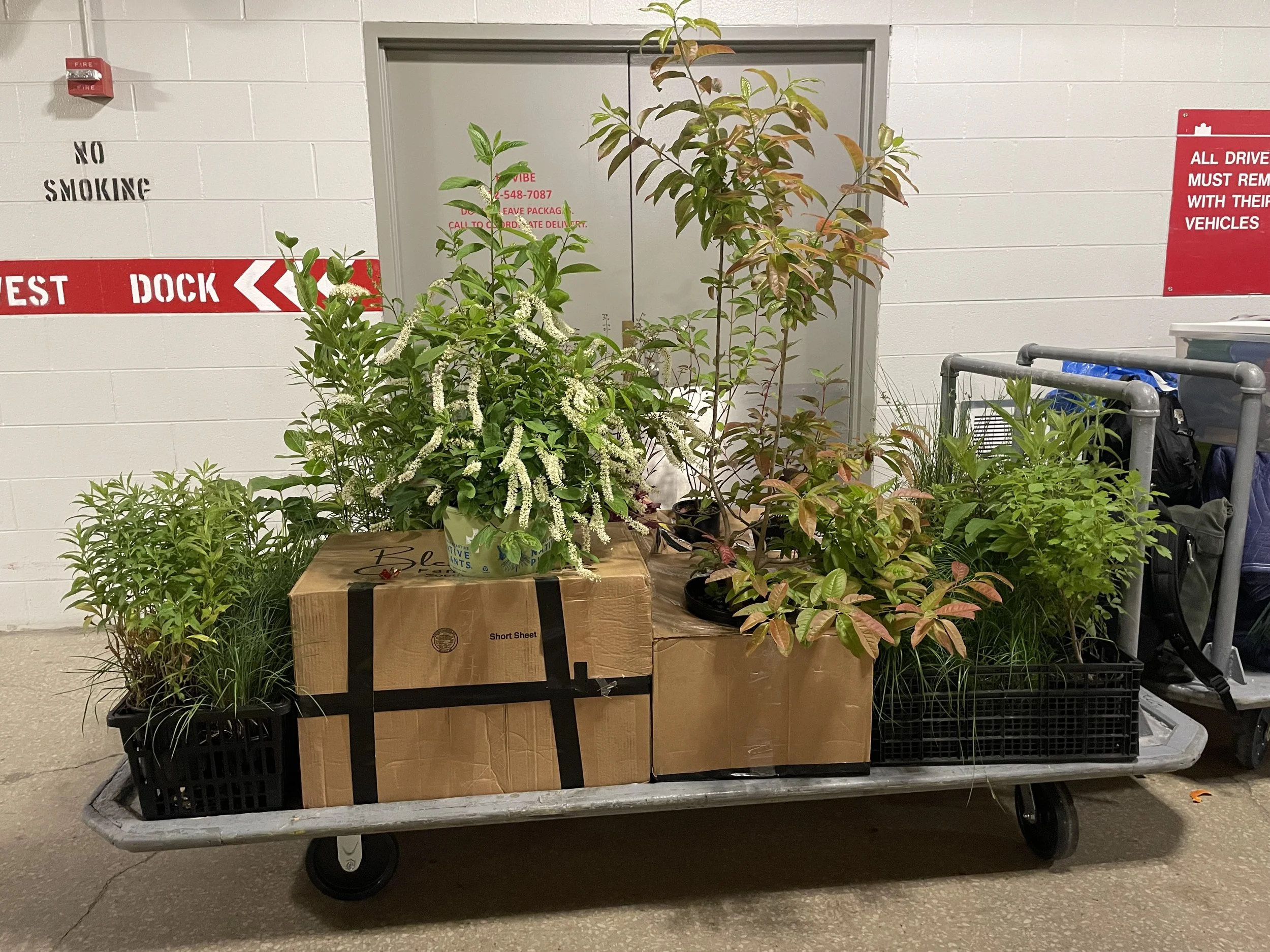 packing out of the Merchandise Mart after the show