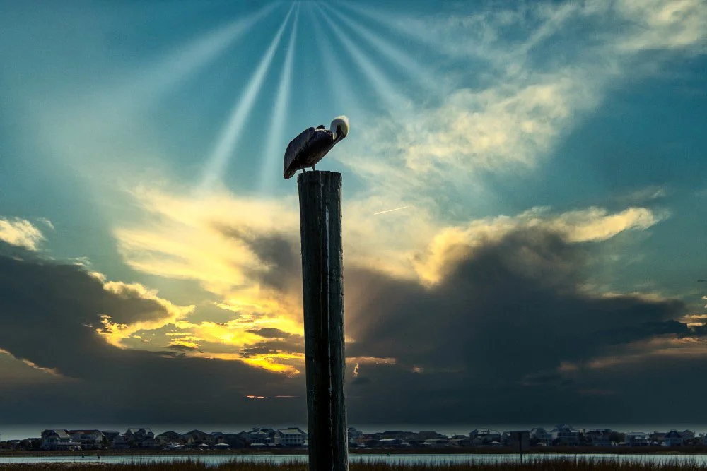A bird, likely a stork, perched on a tall post during sunset with beams of light shining through the clouds over a coastal town.