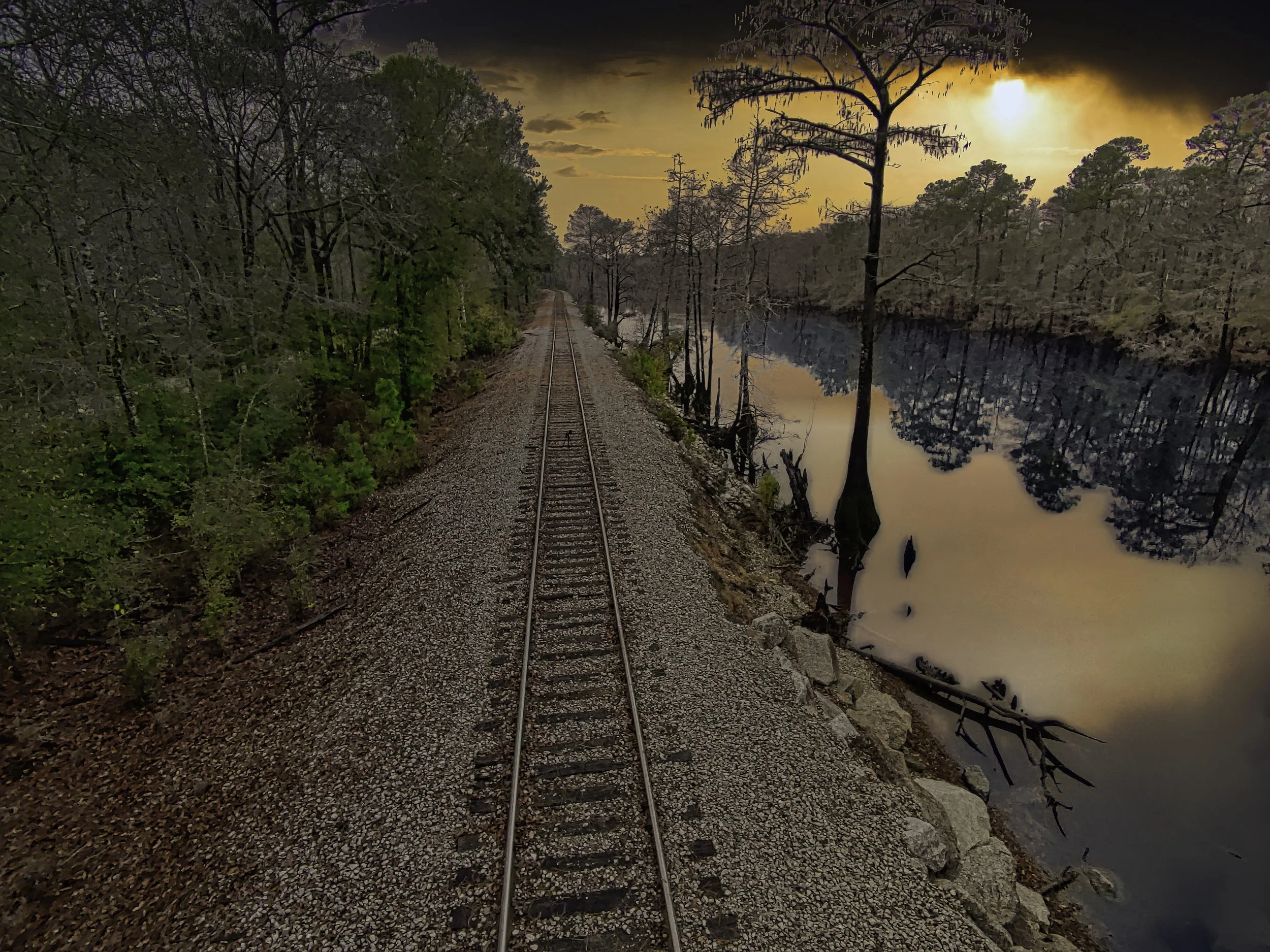A railway track runs through a forested area beside a reflective water body at sunset.