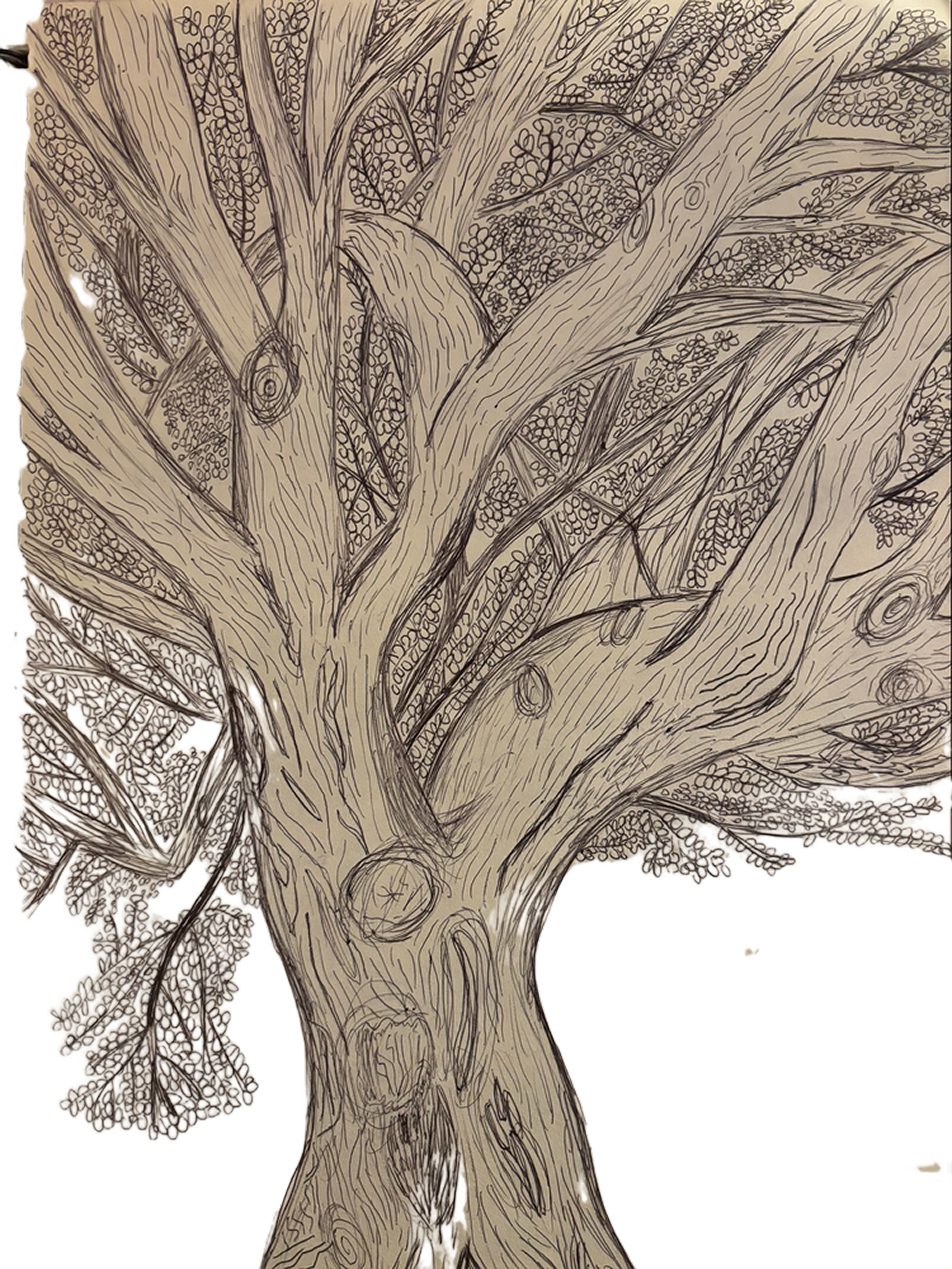 treeeee.png