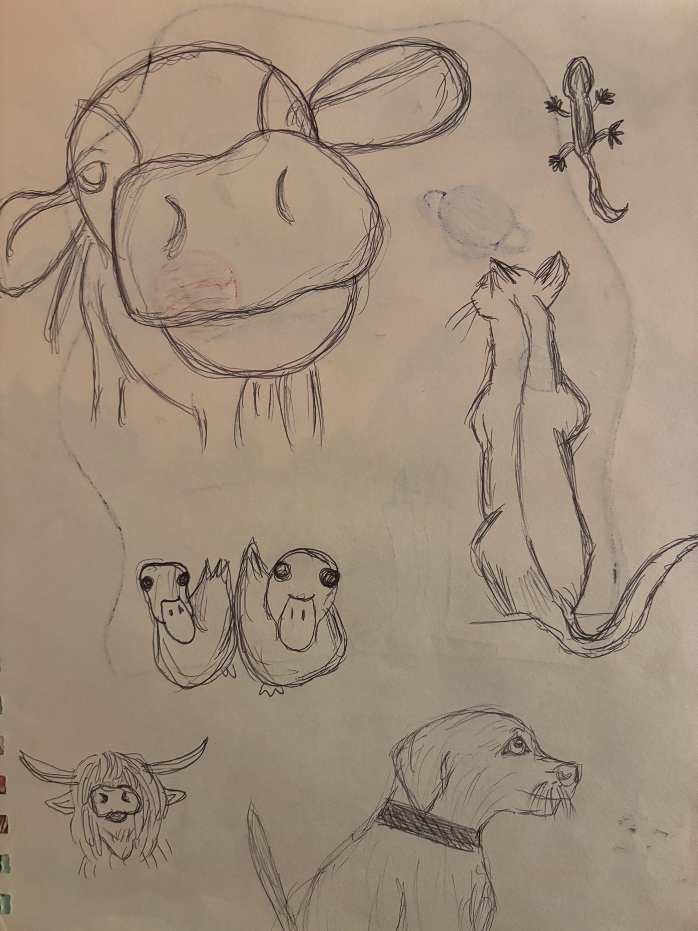 animals.png