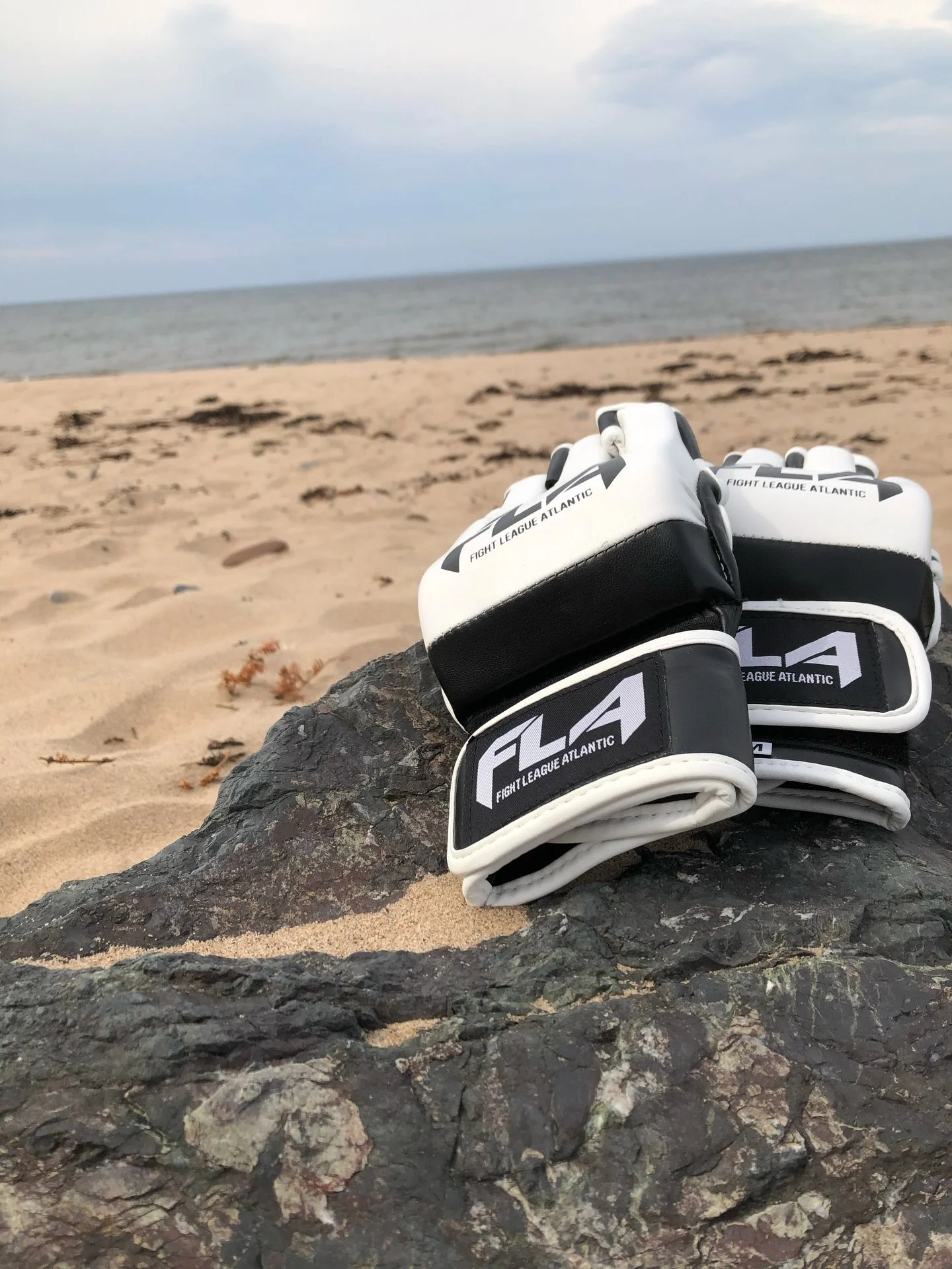 The Easy Coast #fla #fightleagueatlantic
FLA is more than an event, it is an entire region!
#ufcfightpass #fla24 #hectorarena