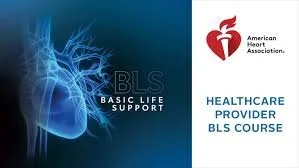 AHA BLS-Initial Certification Course