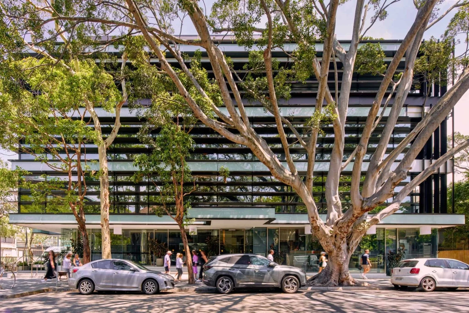 Modern multi-story building with a large tree in front, parked cars lining the street, and lights illuminating the interior visible through glass windows.