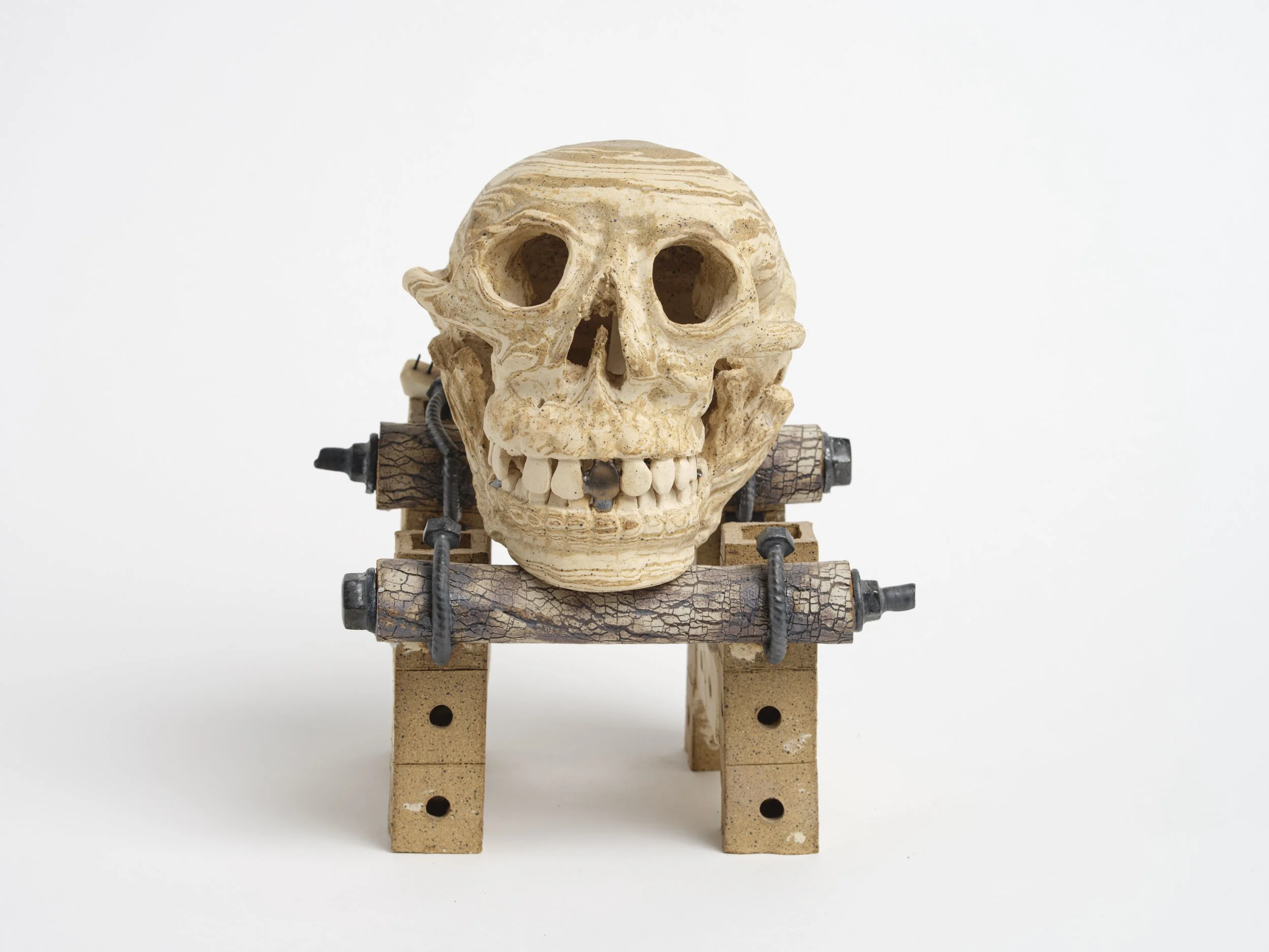 Australopithecus