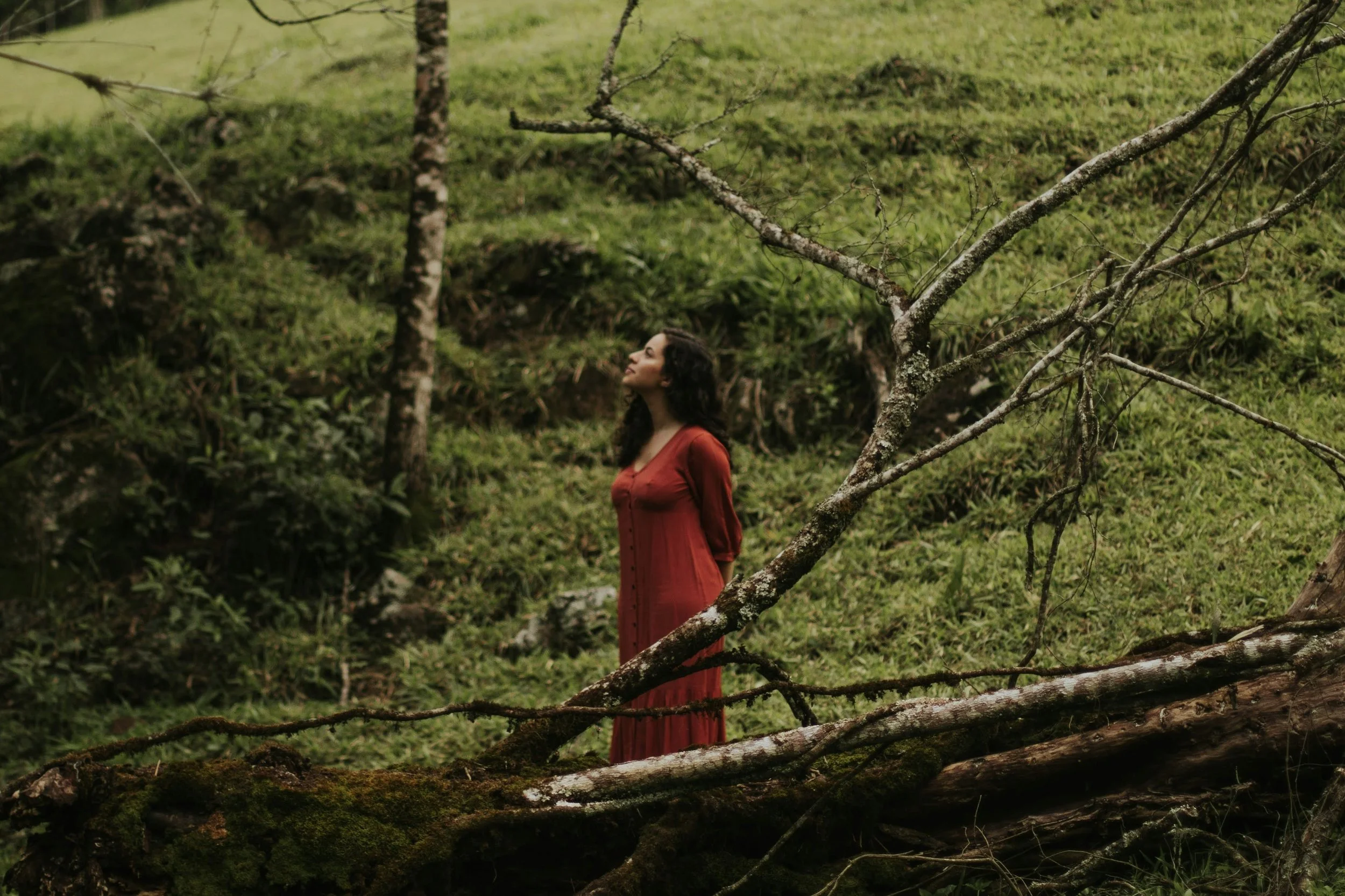 Breaking Free from Depression