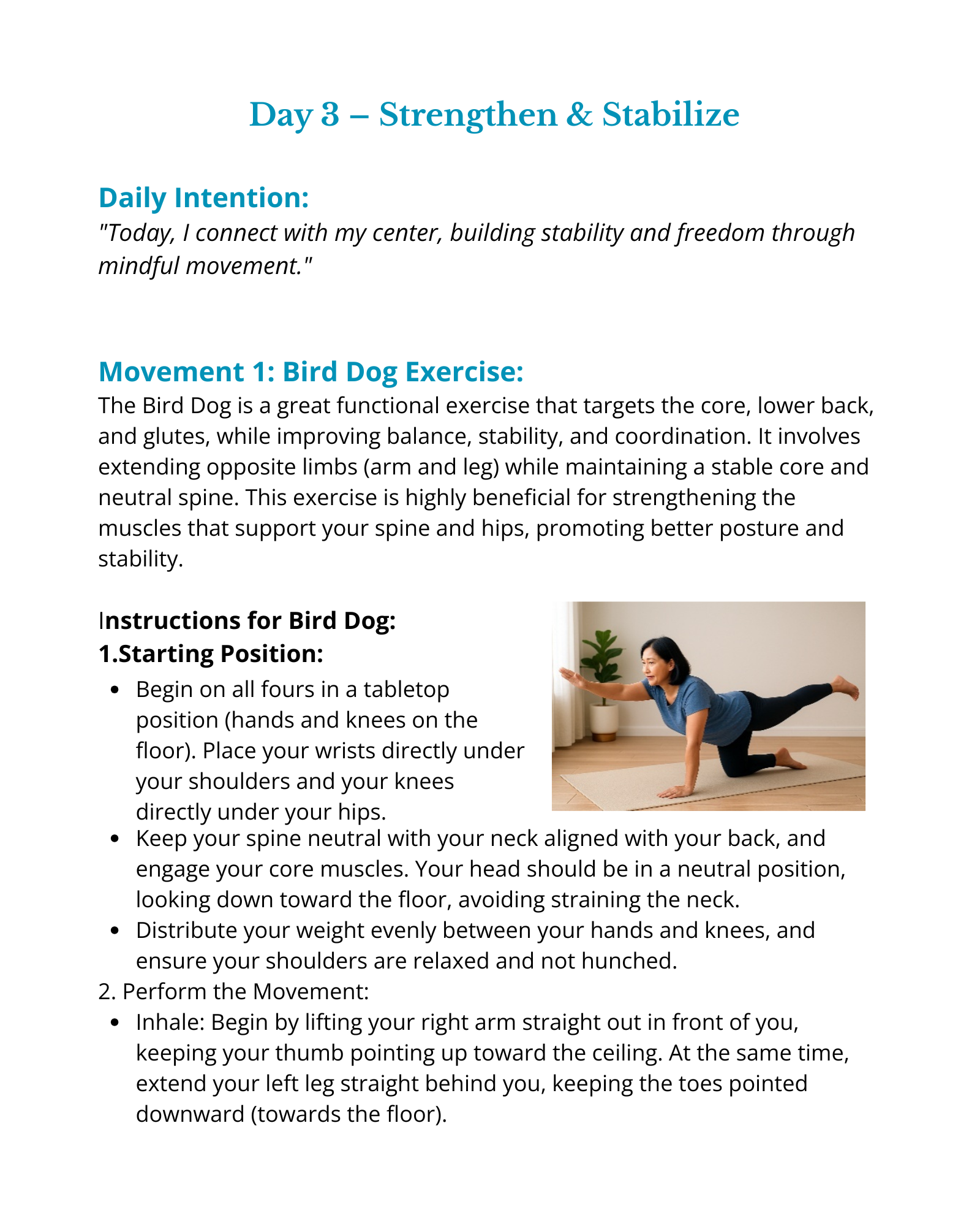 Interior page describing one of the movements; specifically the Bird Dog