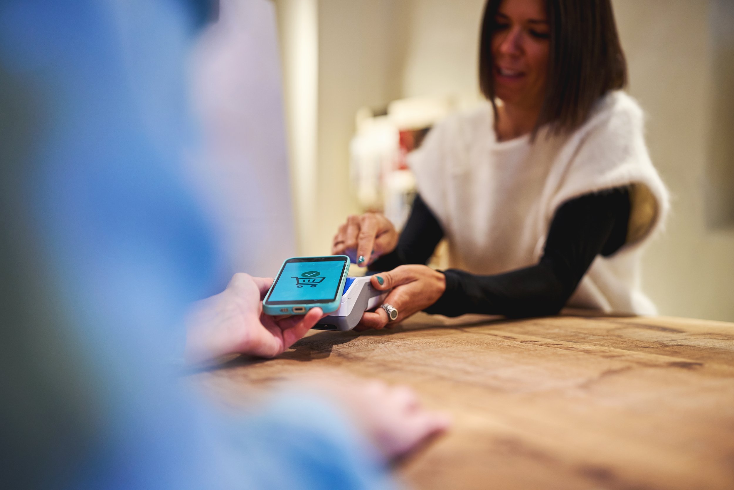 PAYMENT PROCESSING API DOCUMENTATION, Visa