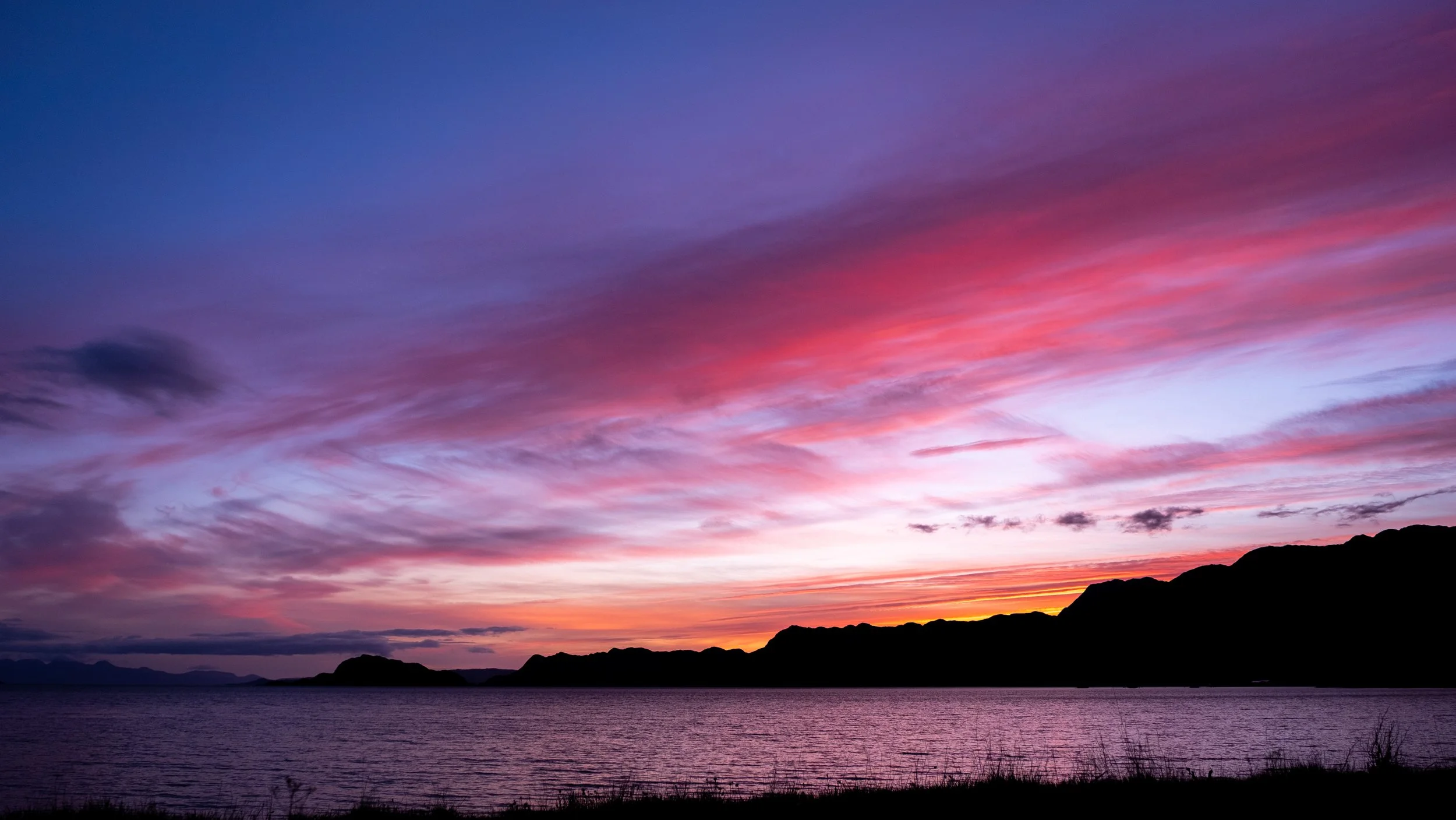 DSCF6513.jpg