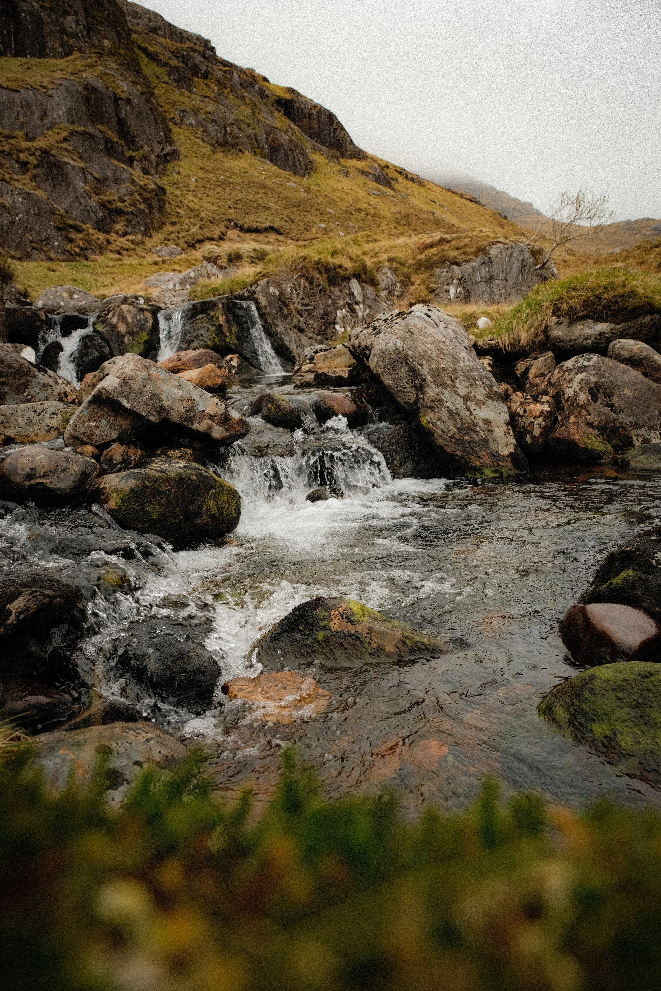 DSCF6390.JPG