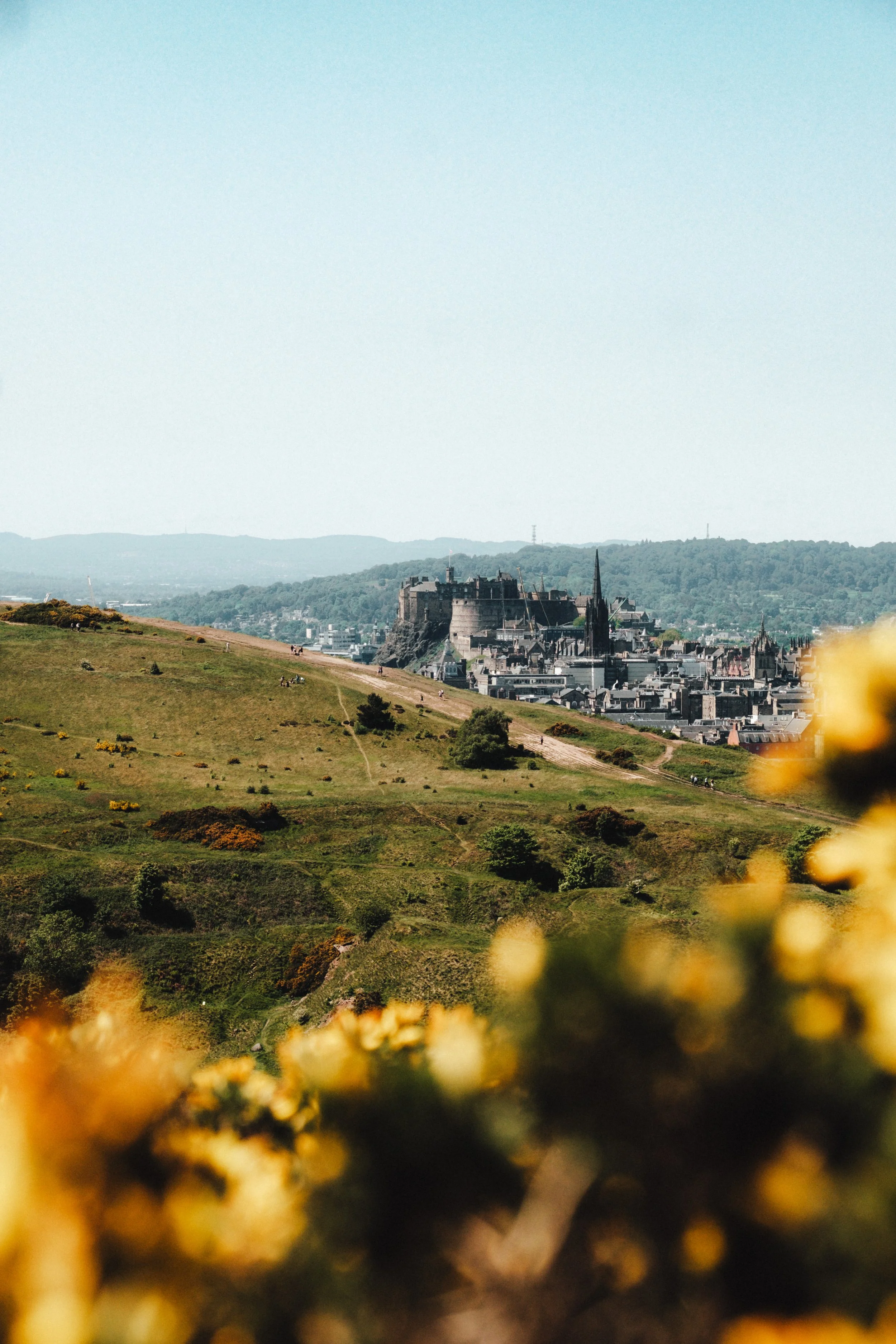DSCF6886-2.jpg
