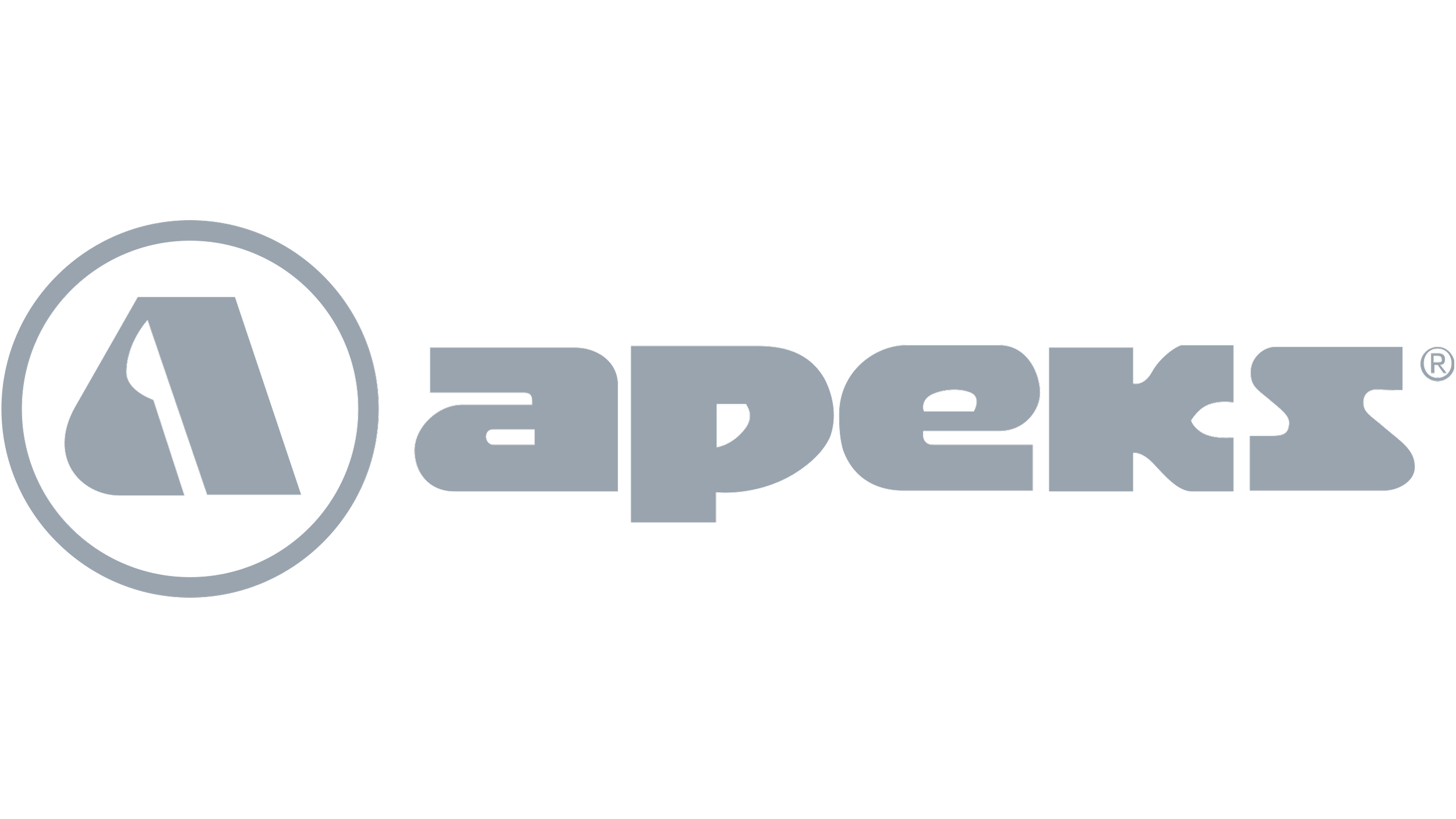 The logo of APEKS, featuring a stylized tent and the text 'APEX' in gray letters.