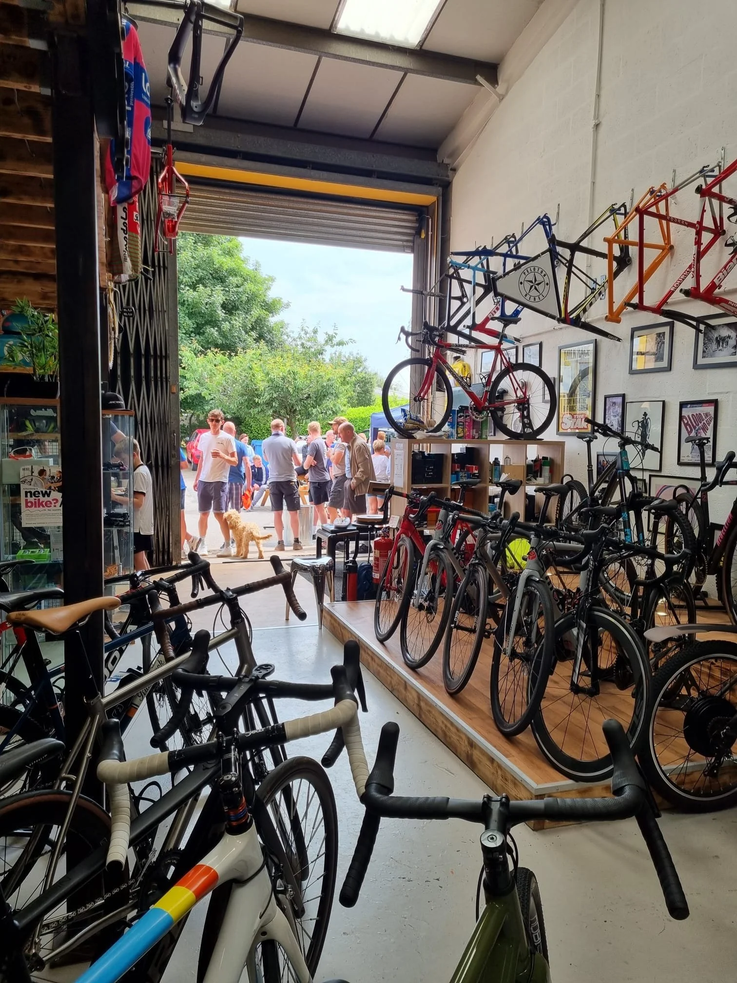 Inside a bicycle shop with various bikes on display, framed pictures on the wall, and a large open door leading to a group of people outside in a sunny outdoor setting.