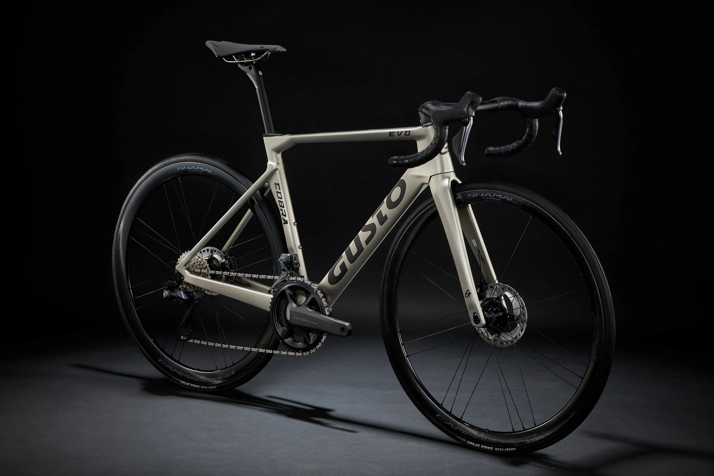 COBRA-EVO-PRO-LEGEND-灰-scaled.jpg