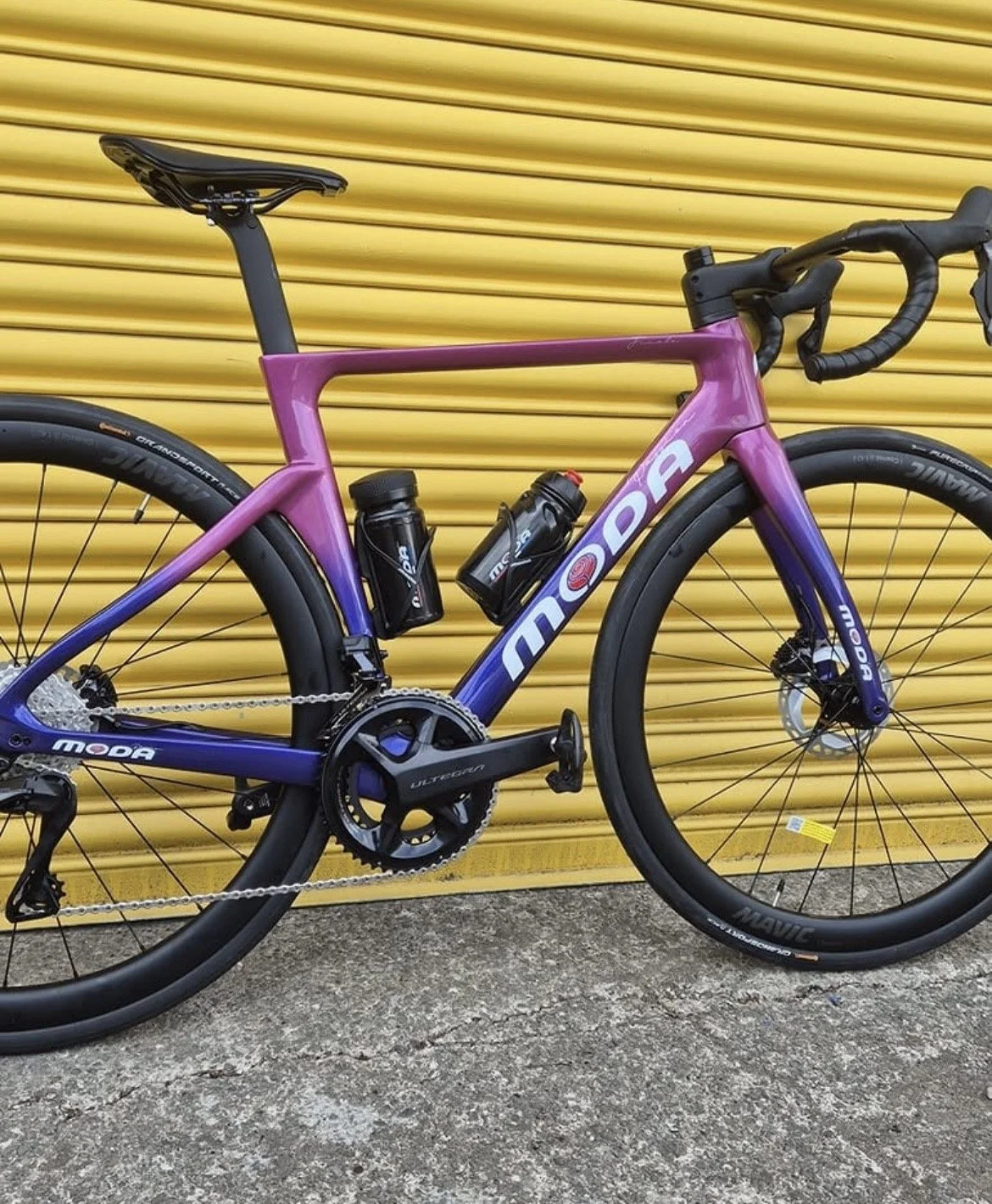 A purple and blue Moda bicycle with black tires and a yellow shutter background.