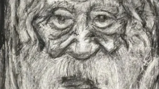 2D/3D studies