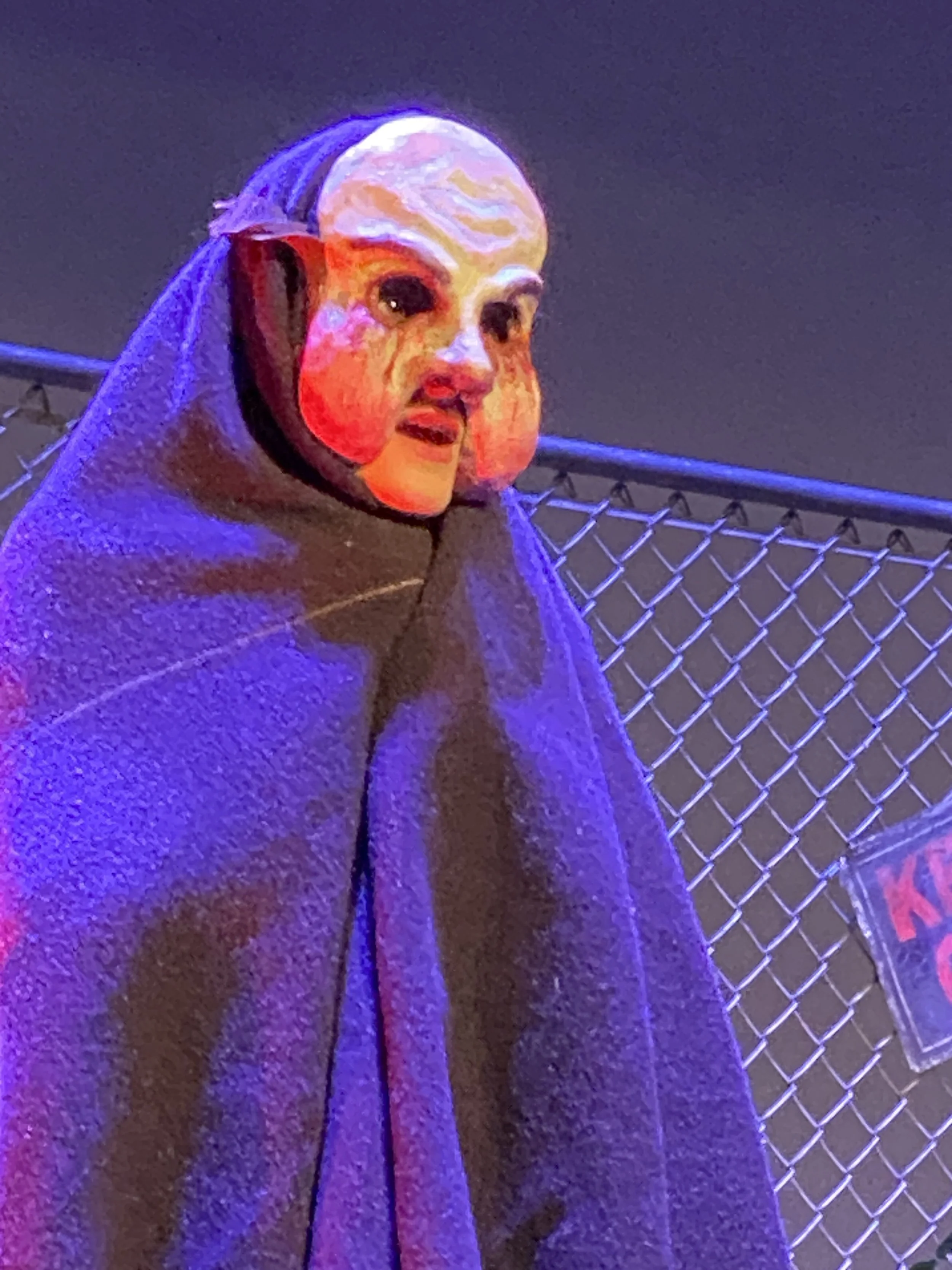 A person wearing a mask with a painted face design, a hooded coat, and standing near a chain-link fence at night with purple and red lighting.
