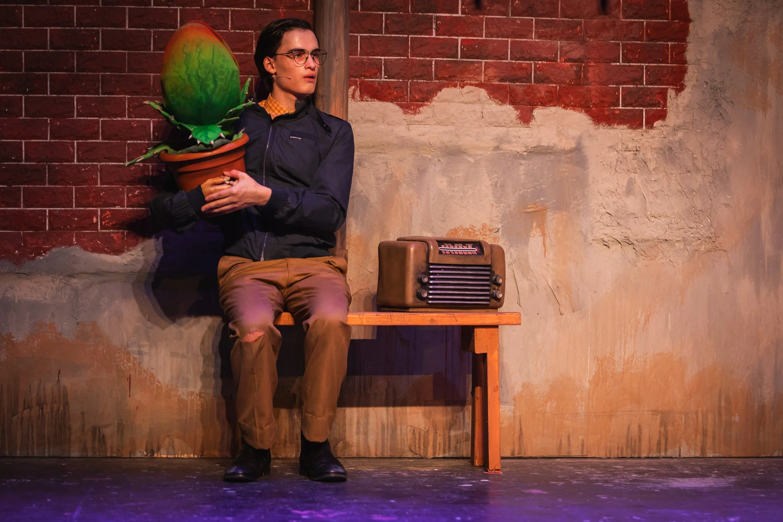 An actor with glasses, dark hair, wearing a dark jacket and tan pants, sitting on a wooden bench and holding a flower pot with a large, colorful, cartoonish plant inside, against a red brick and textured wall background.