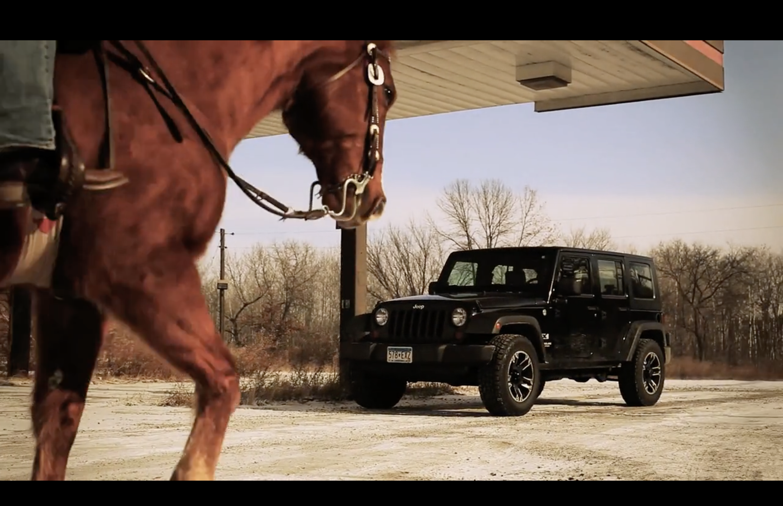 Close-up of a brown horse wearing a bridle, standing outside near a black Jeep parked under a roofed structure, with leafless trees and a pale blue sky in the background.