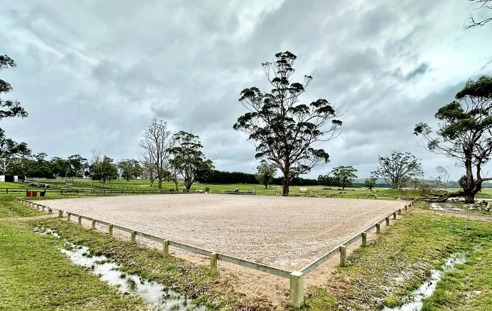 Large outdoor horse riding arena with a sand surface at an equine veterinary and rehabilitation facility, providing a spacious area for horse exercise, training, lameness exams and rehabilitation.