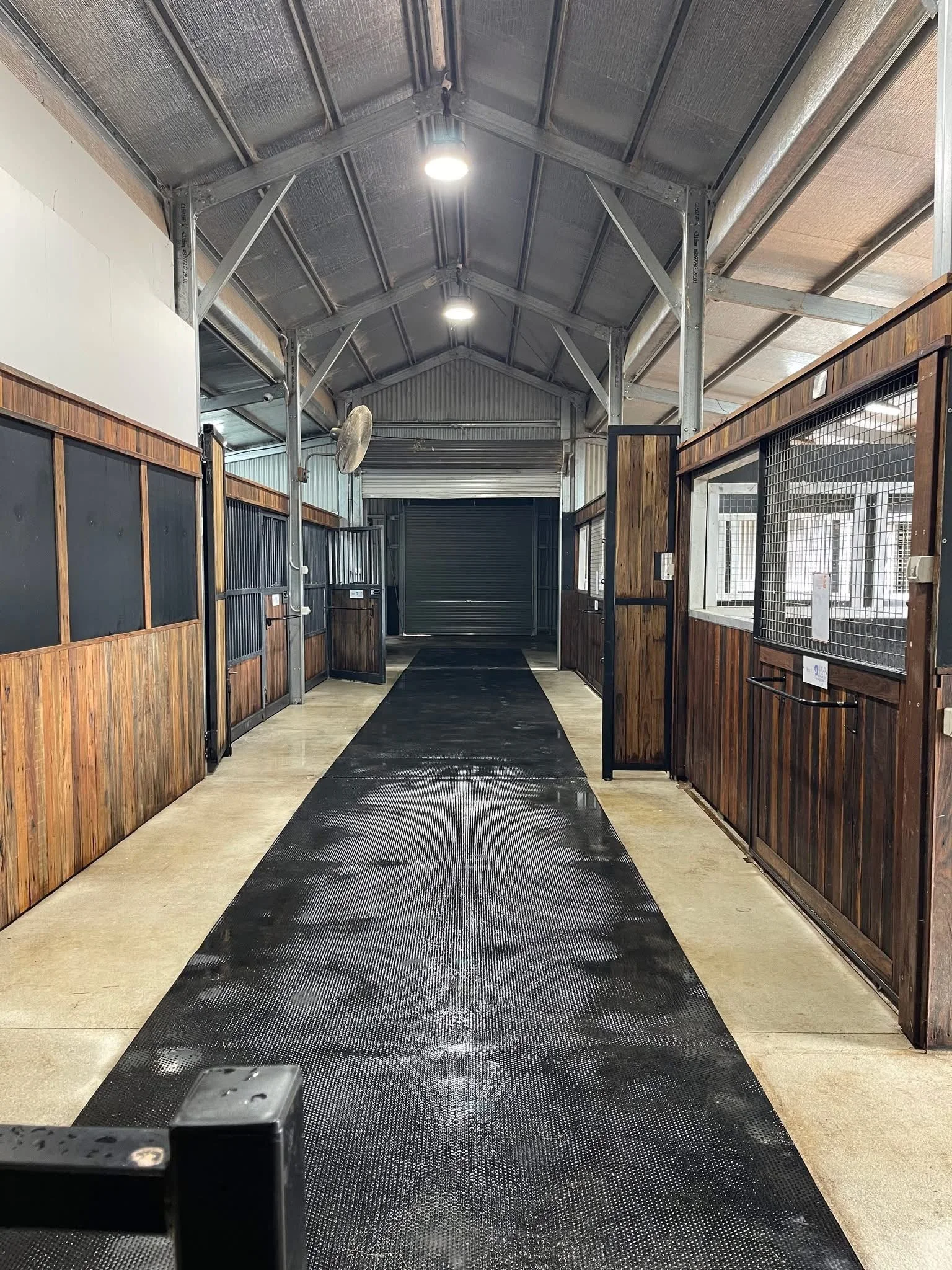 Modern equine veterinary clinic stable facilities with clean horse stalls, rubber flooring and secure indoor stabling for horses receiving veterinary care and rehabilitation.