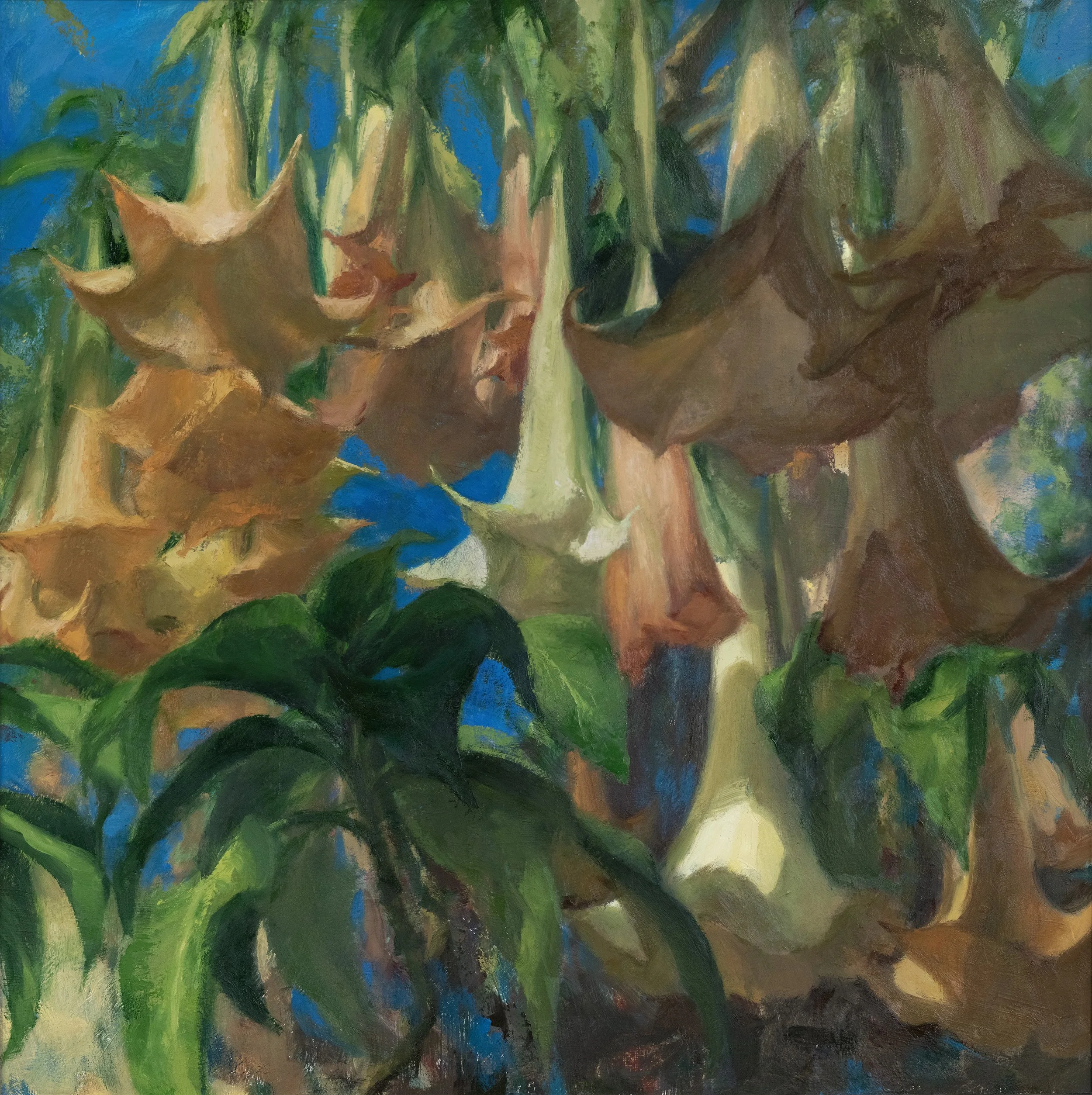 Trumpetflowers
Oil on linen
24 x 24 in
2026
Available