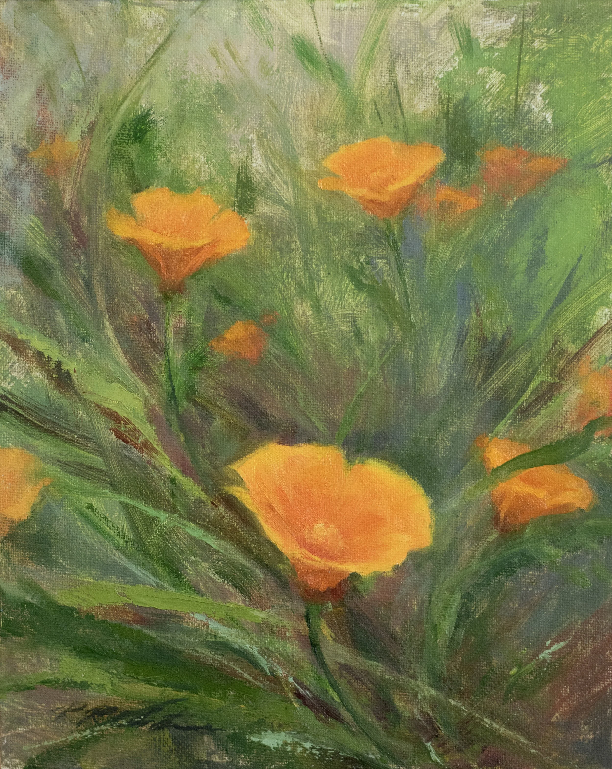 CA Poppies no2.jpg