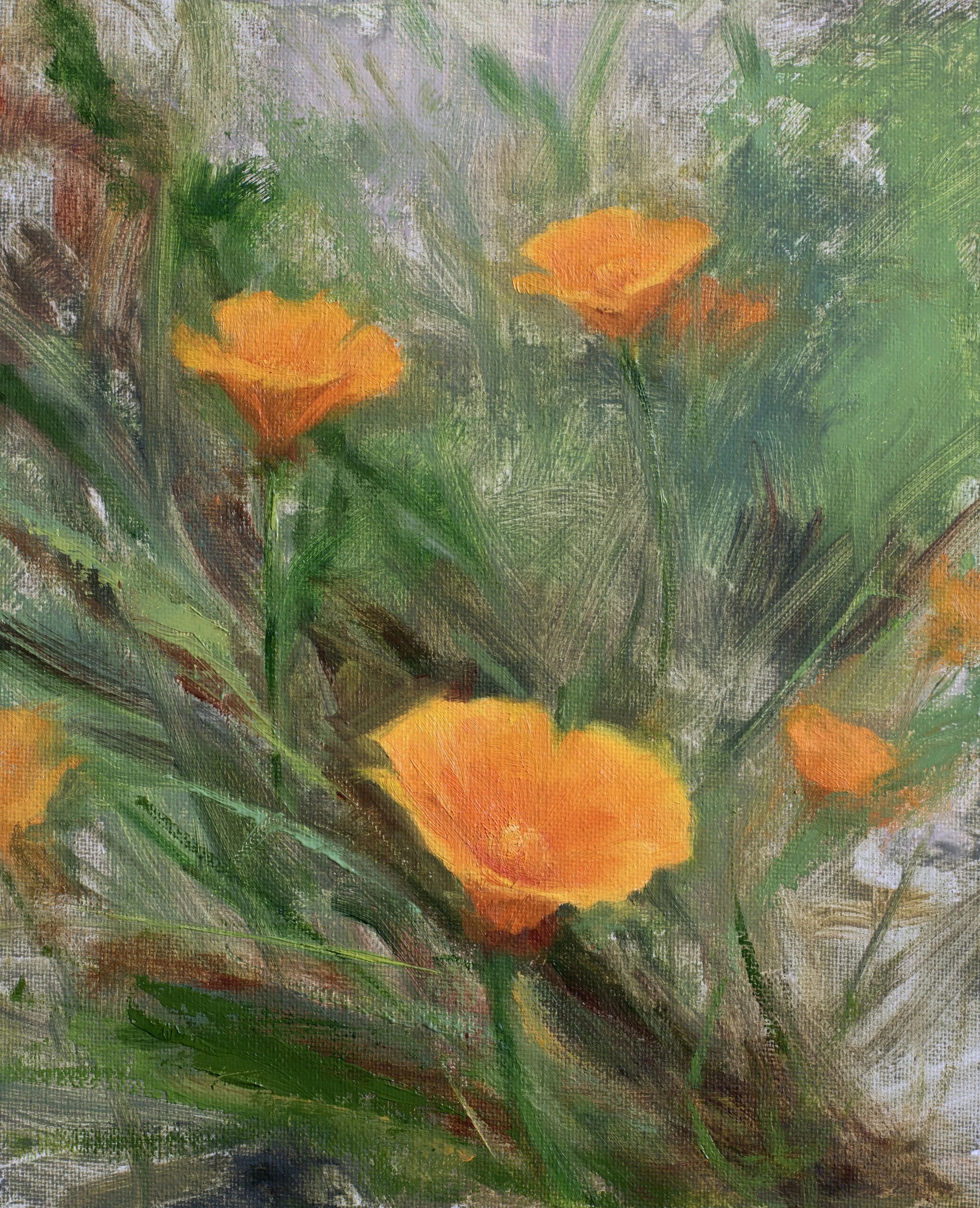 California Poppies_8x10_oil on panel_2026.jpg