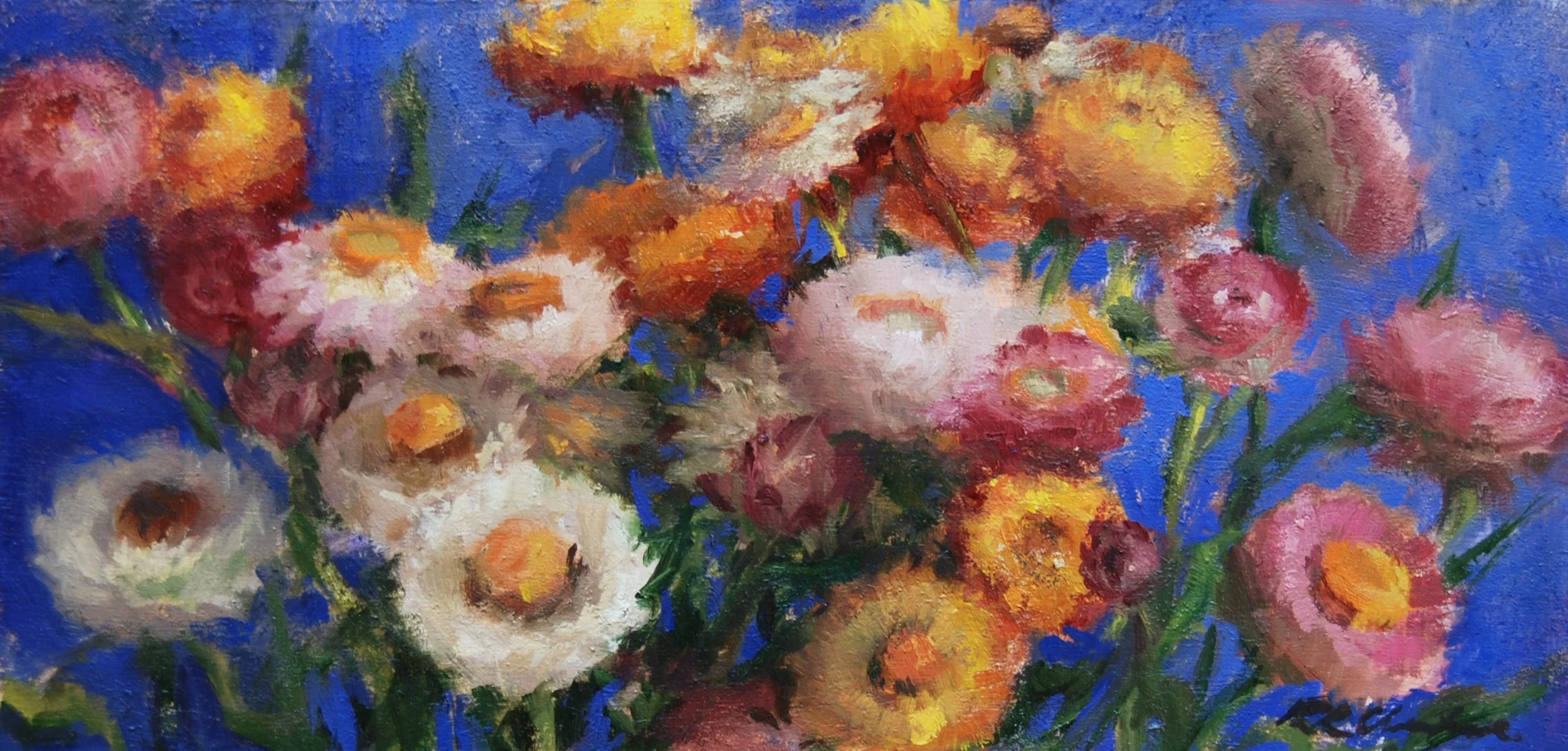 Californian Strawflowers_edited.jpg