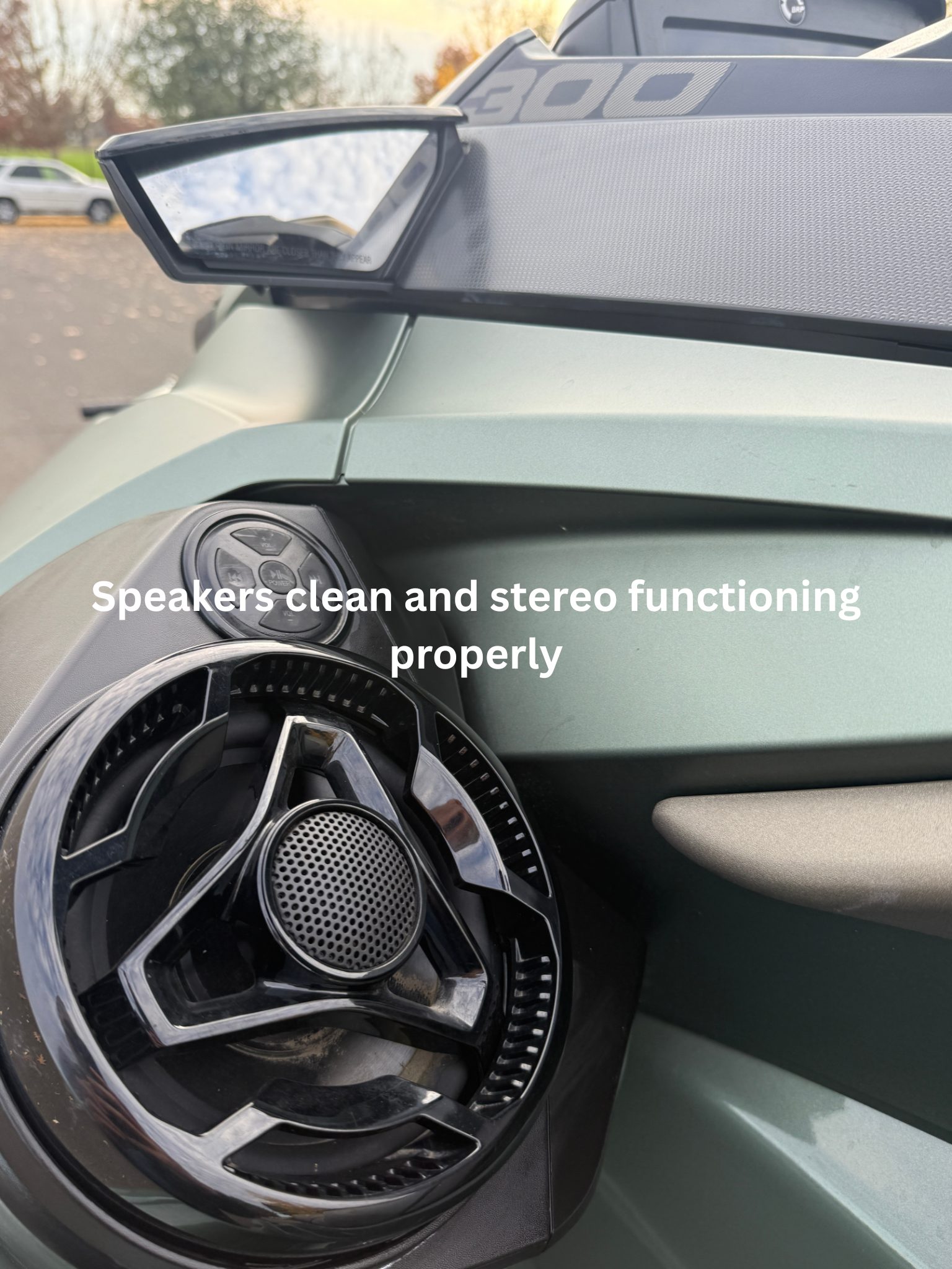 Speakers clean and stereo functioning properly.png