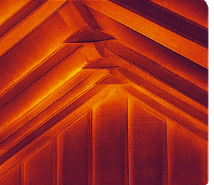 Thermal Home Efficiency Scan