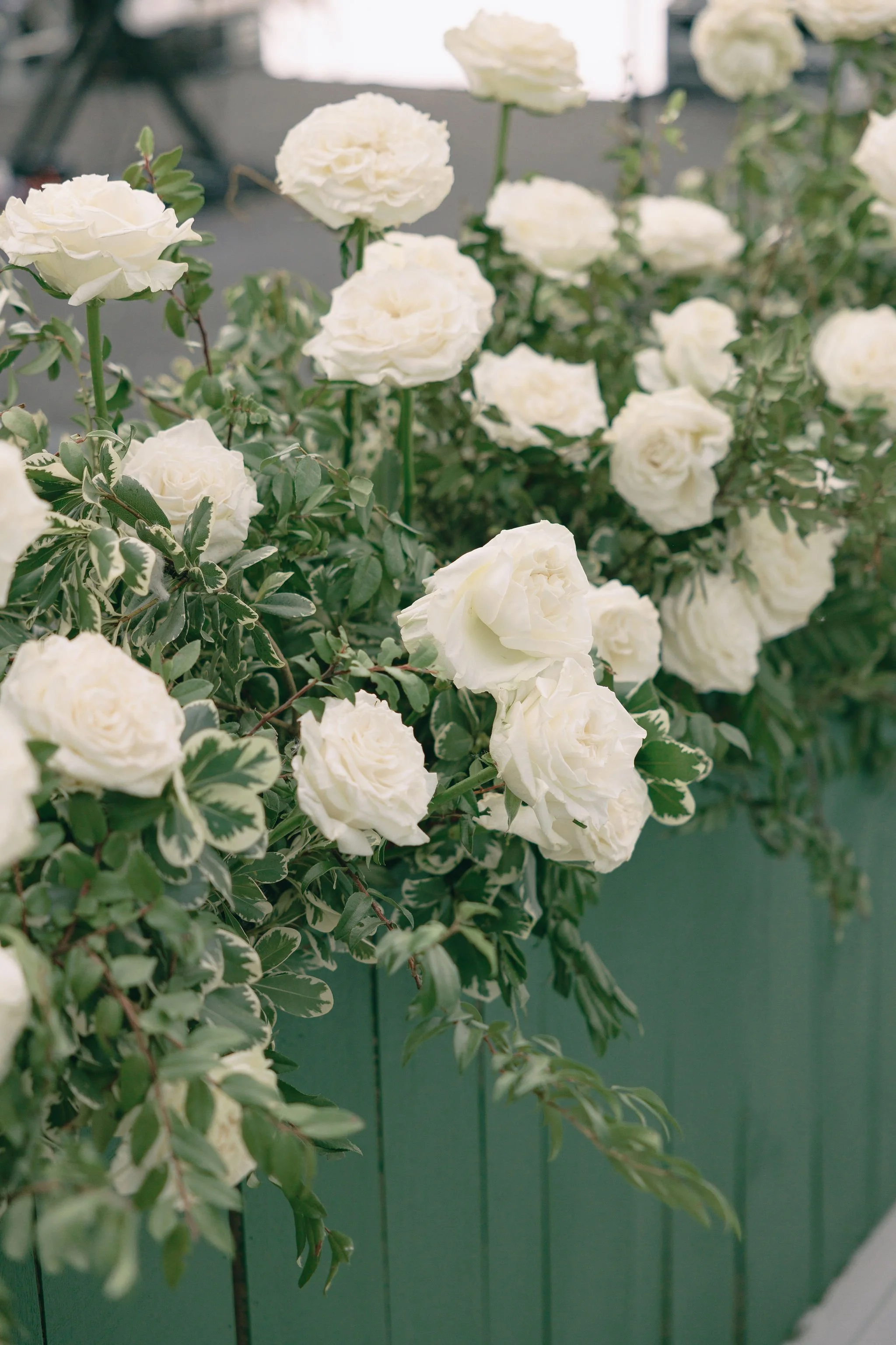 ransomWED_CPP-0906.jpg