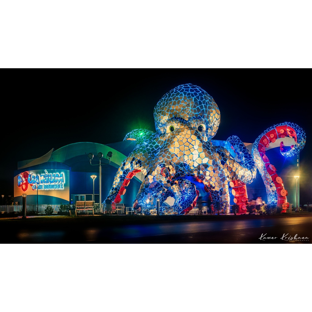 022 Architecture Photo