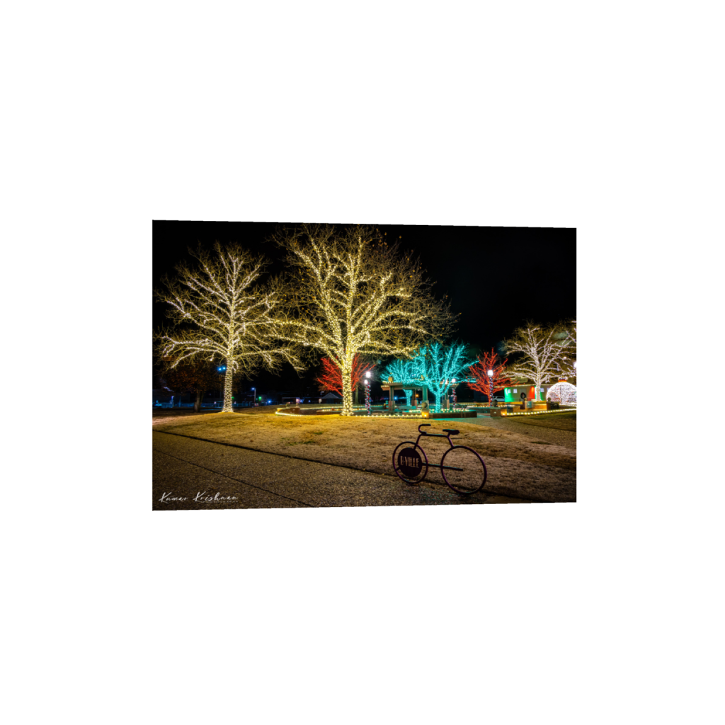 015 Architecture Photo