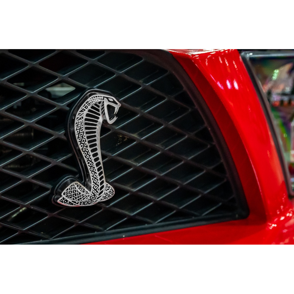 008 Automobile Photo