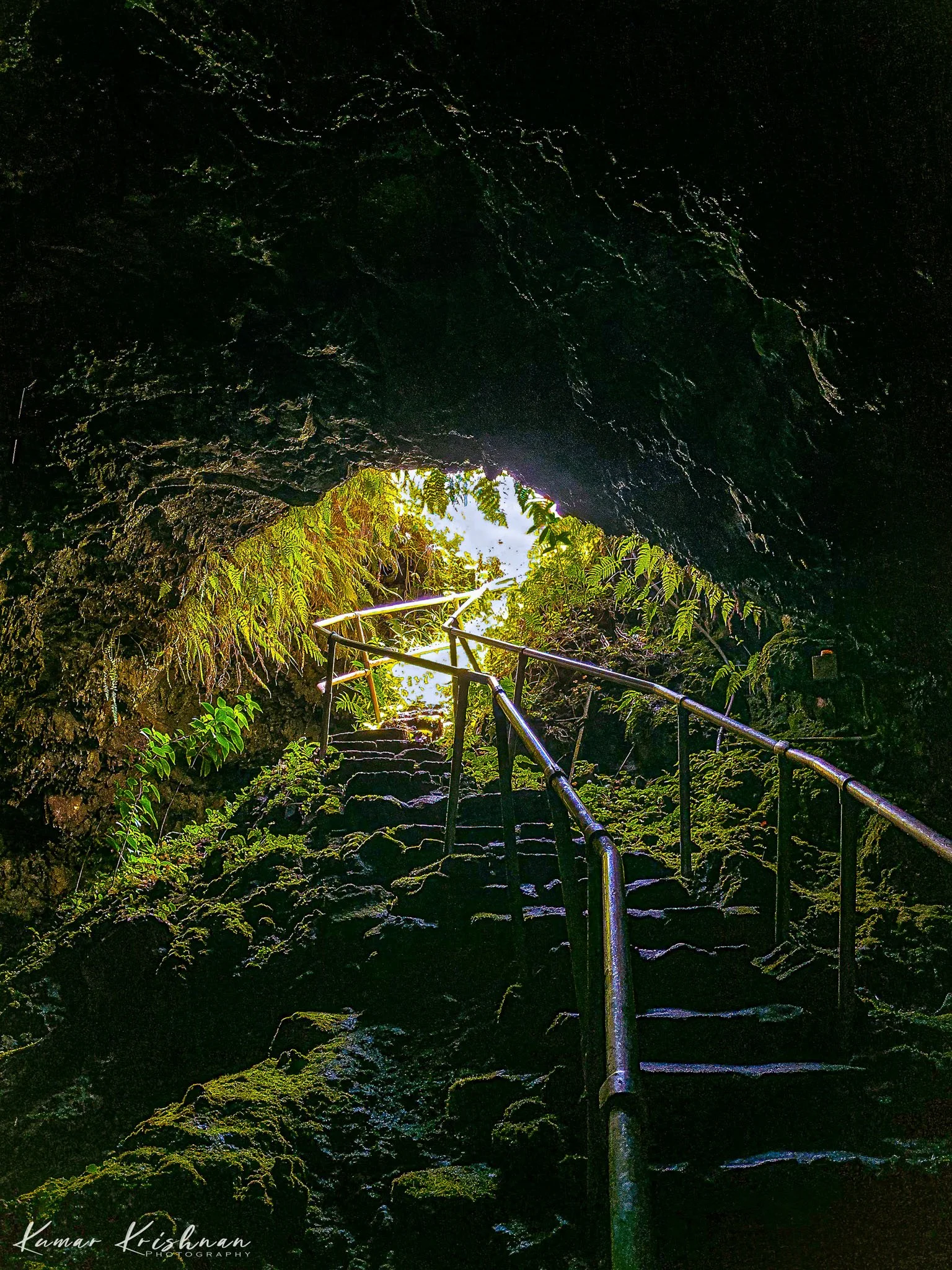 20190622-Hawaii 02-edit.jpg