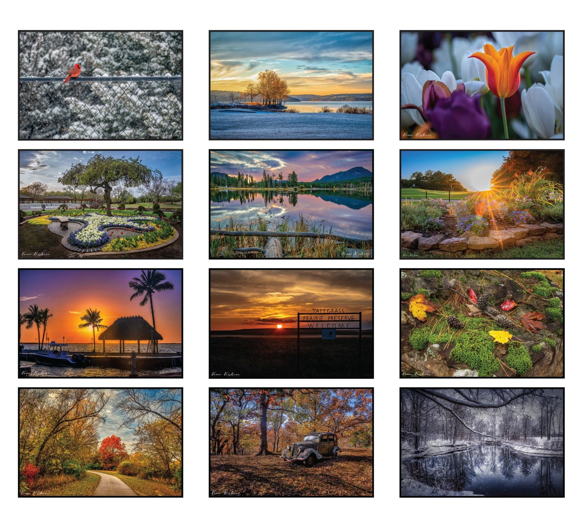 2026 Photo Collection Calendar