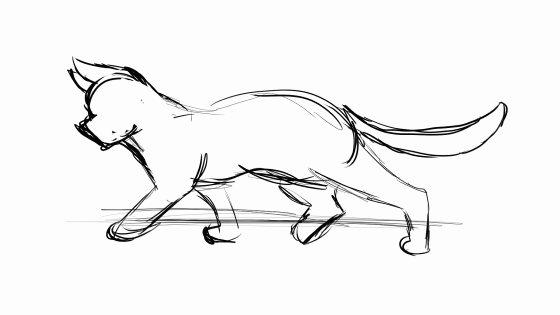 Cat walks study, 2024