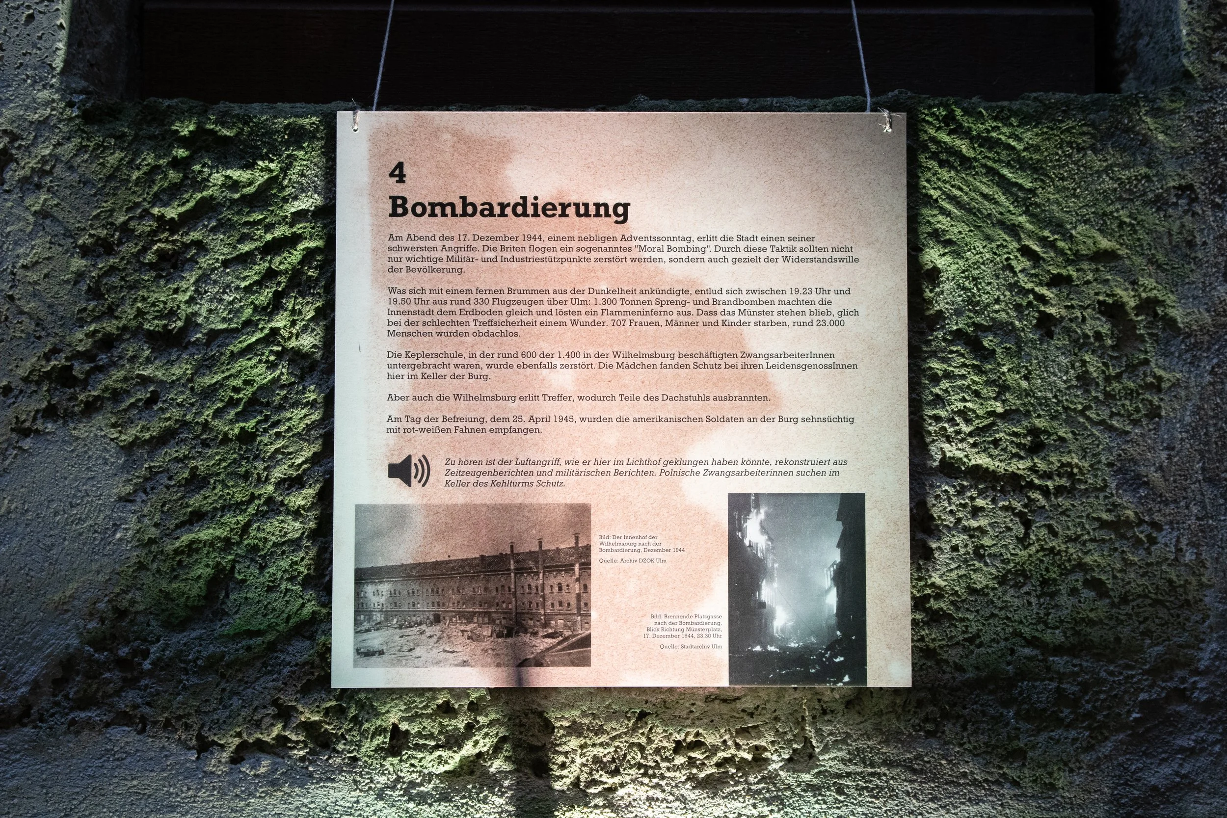WIBU_2021 (5).jpg