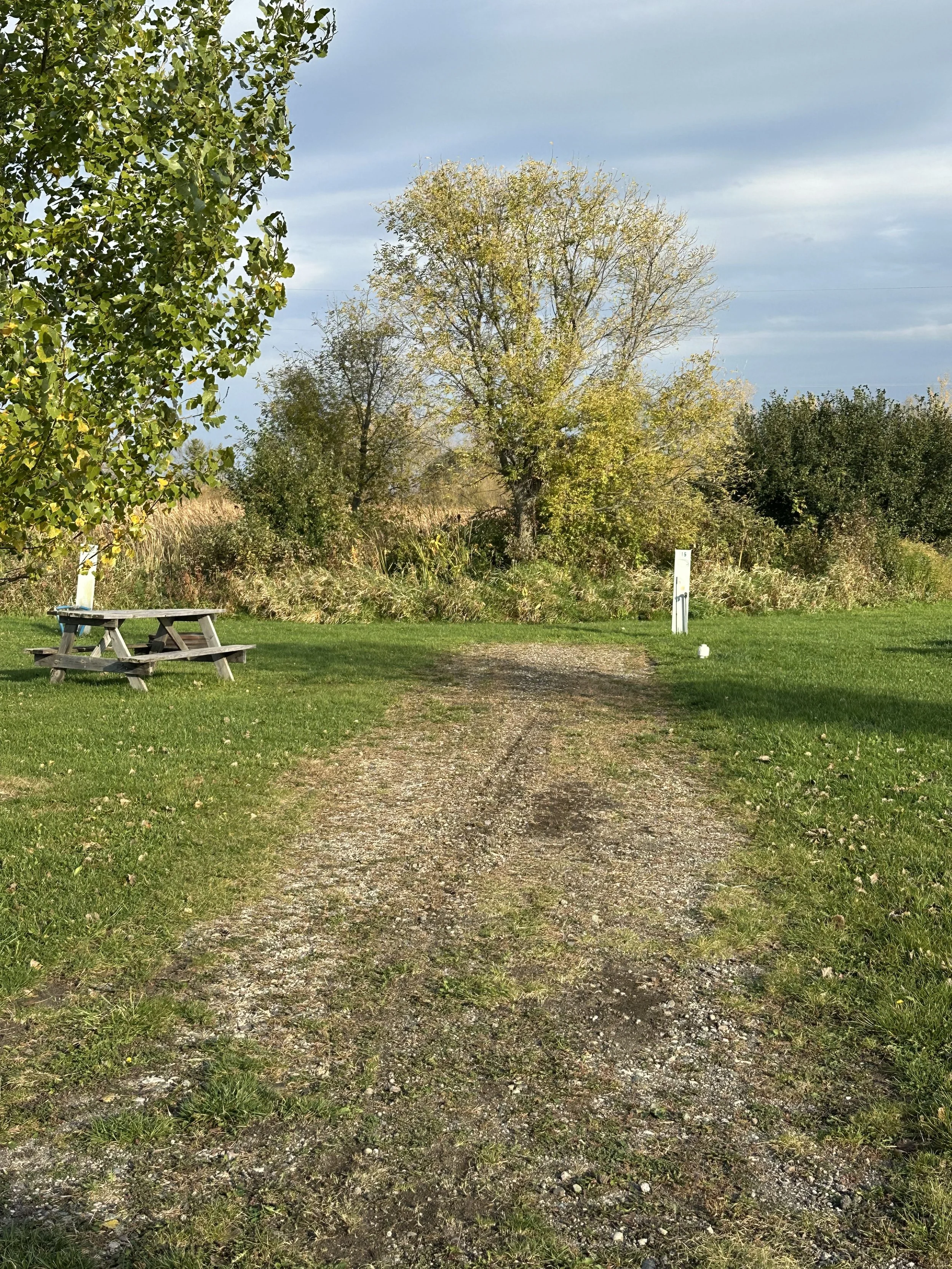 A dirt path in an RV park with green grass on both sides, a picnic table on the left, fire ring, trees in the background, and a cloudy sky above.