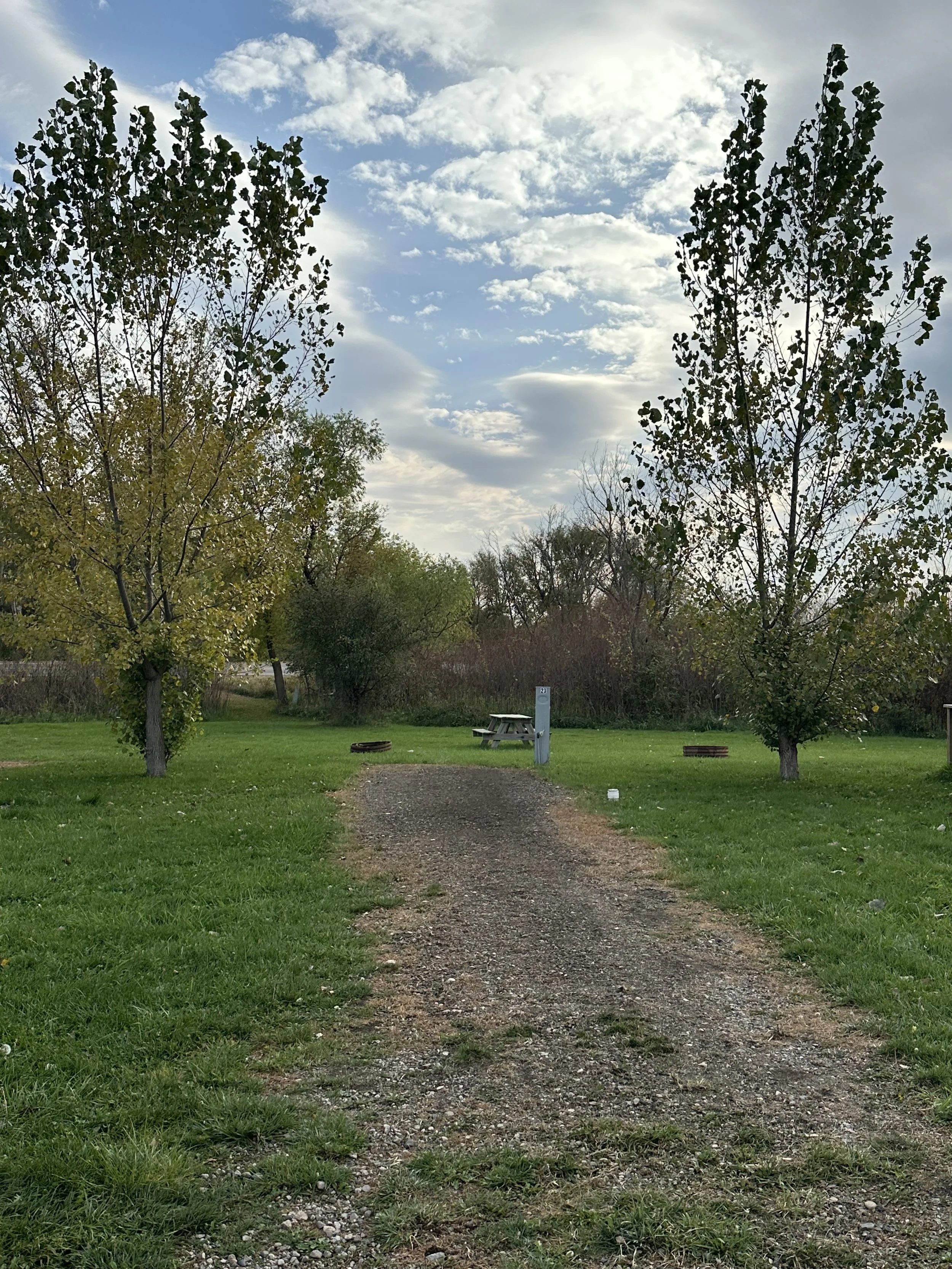 An RV parking spot with two trees on either side of a gravel path, green grass, a picnic table, fire ring and a cloudy sky.