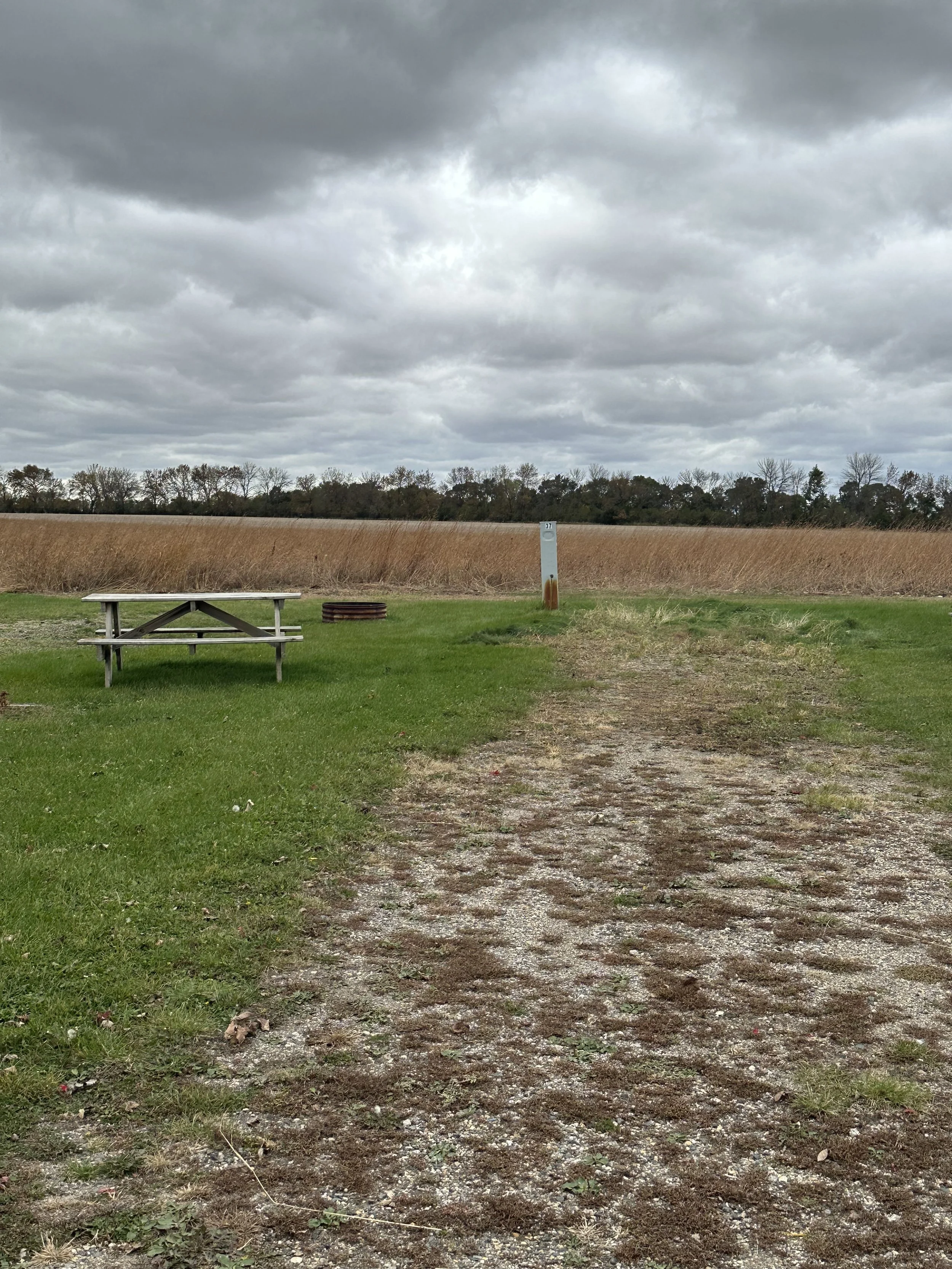 RV spot by an open grassy area with a picnic table, a fire ring, and a utility pole, with tall grass and trees in the background under a cloudy sky.