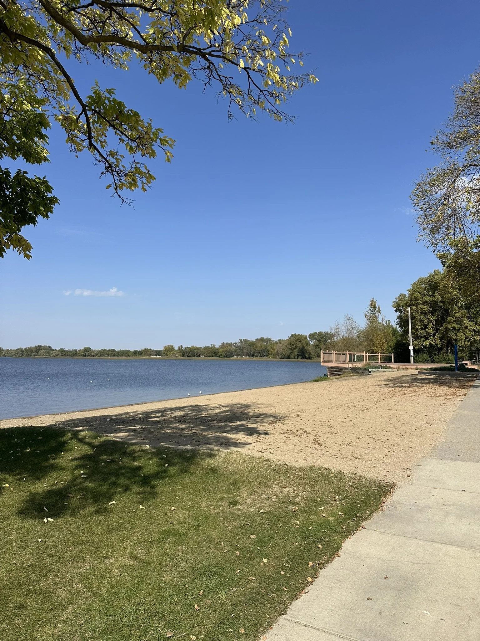 A peaceful lakeside scene on a sunny day, with a sandy beach, green grass, and trees with green leaves along a walking path