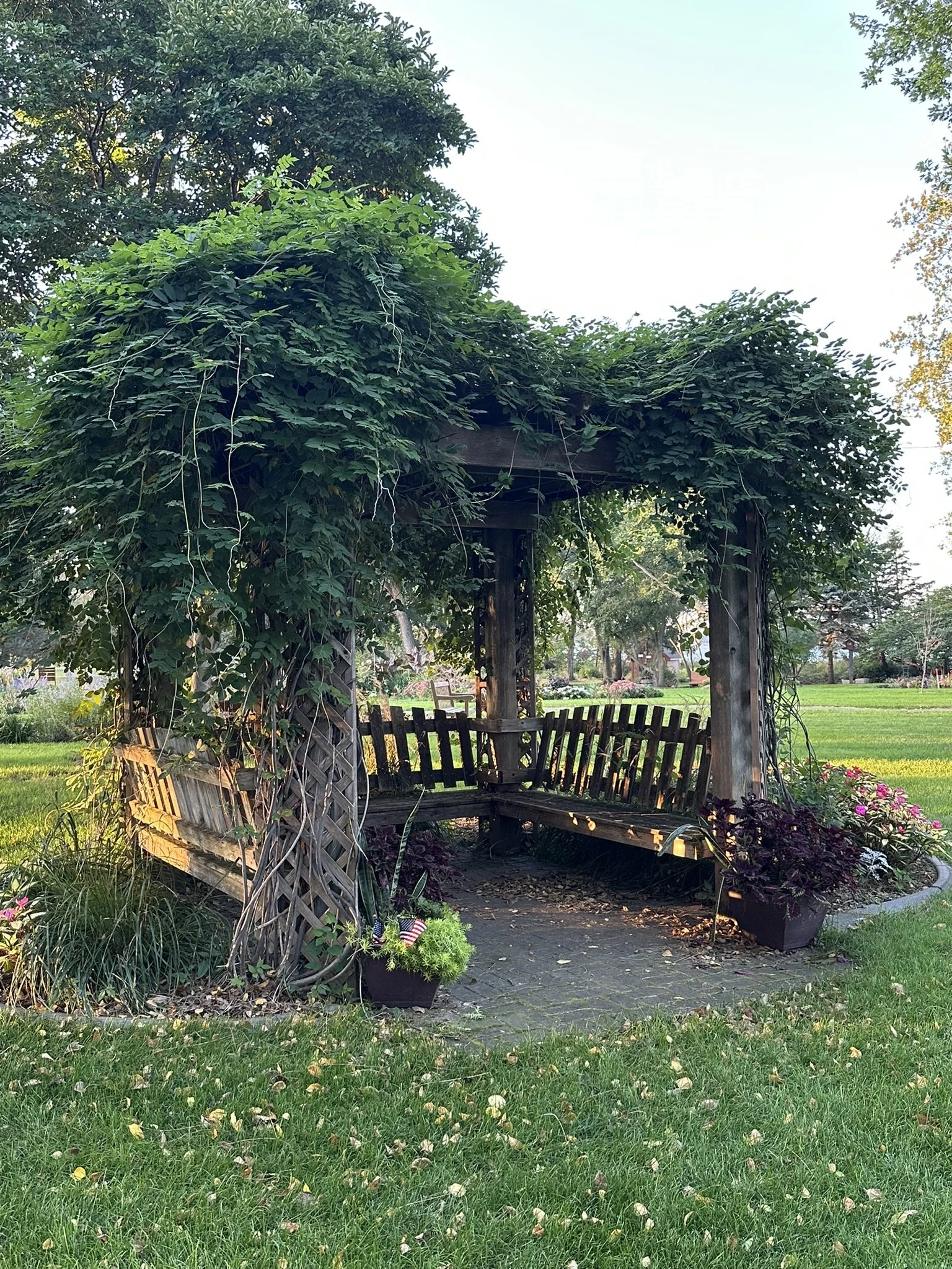 A wooden garden bench under a trellis with lush green foliage, surrounded by colorful flowers in a park or garden setting.