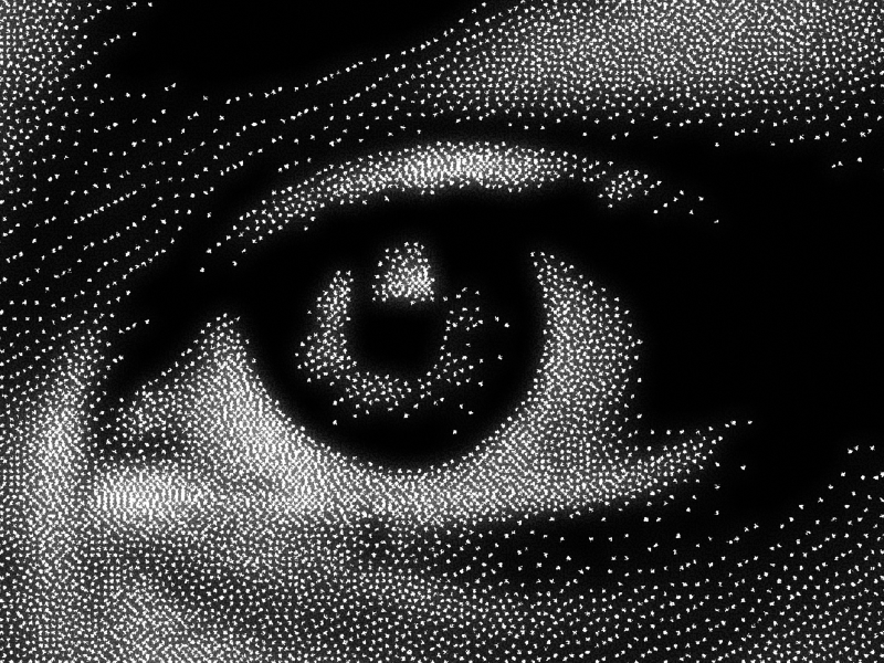 Error diffusion dithering showing fine organic grain pattern applied to eye photograph