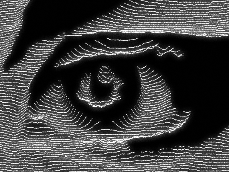 CRT scanline modulation effect showing wavy lines applied to eye photograph