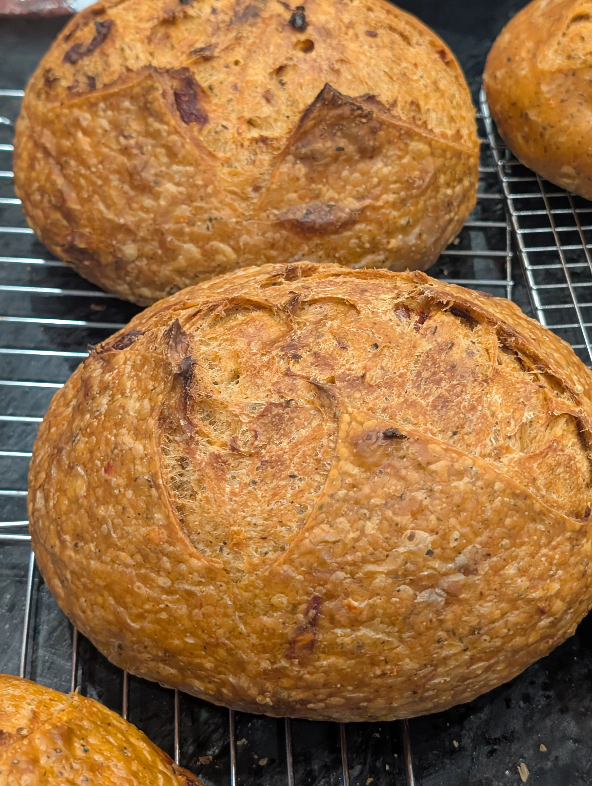 Tomato Basil with Roasted Garlic Sourdough