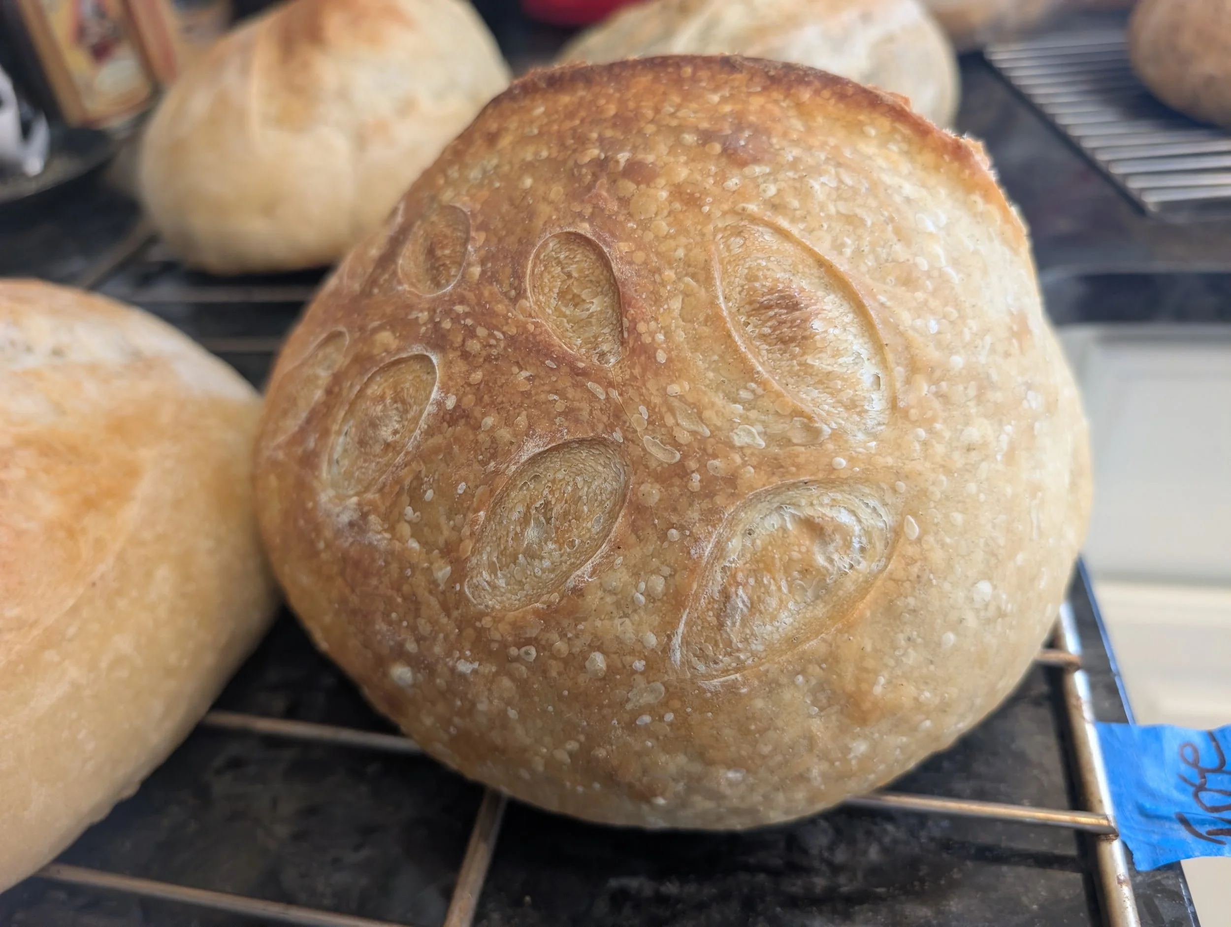 Lemon & Thyme Sourdough