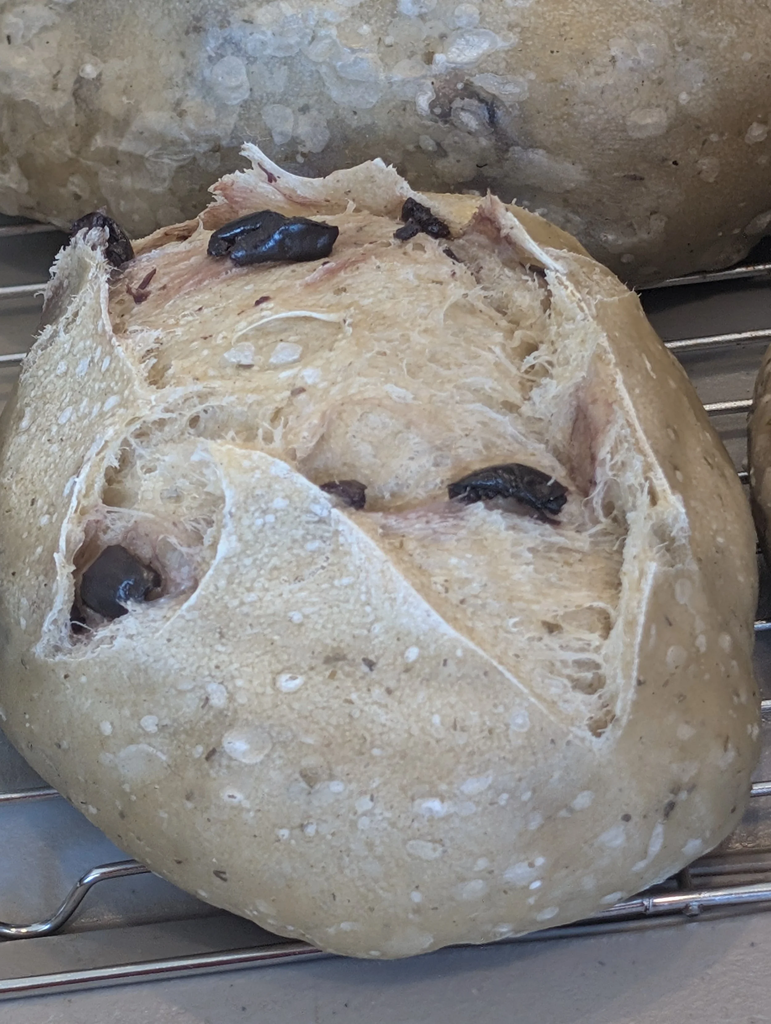 Kalamata Olive & Rosemary Sourdough