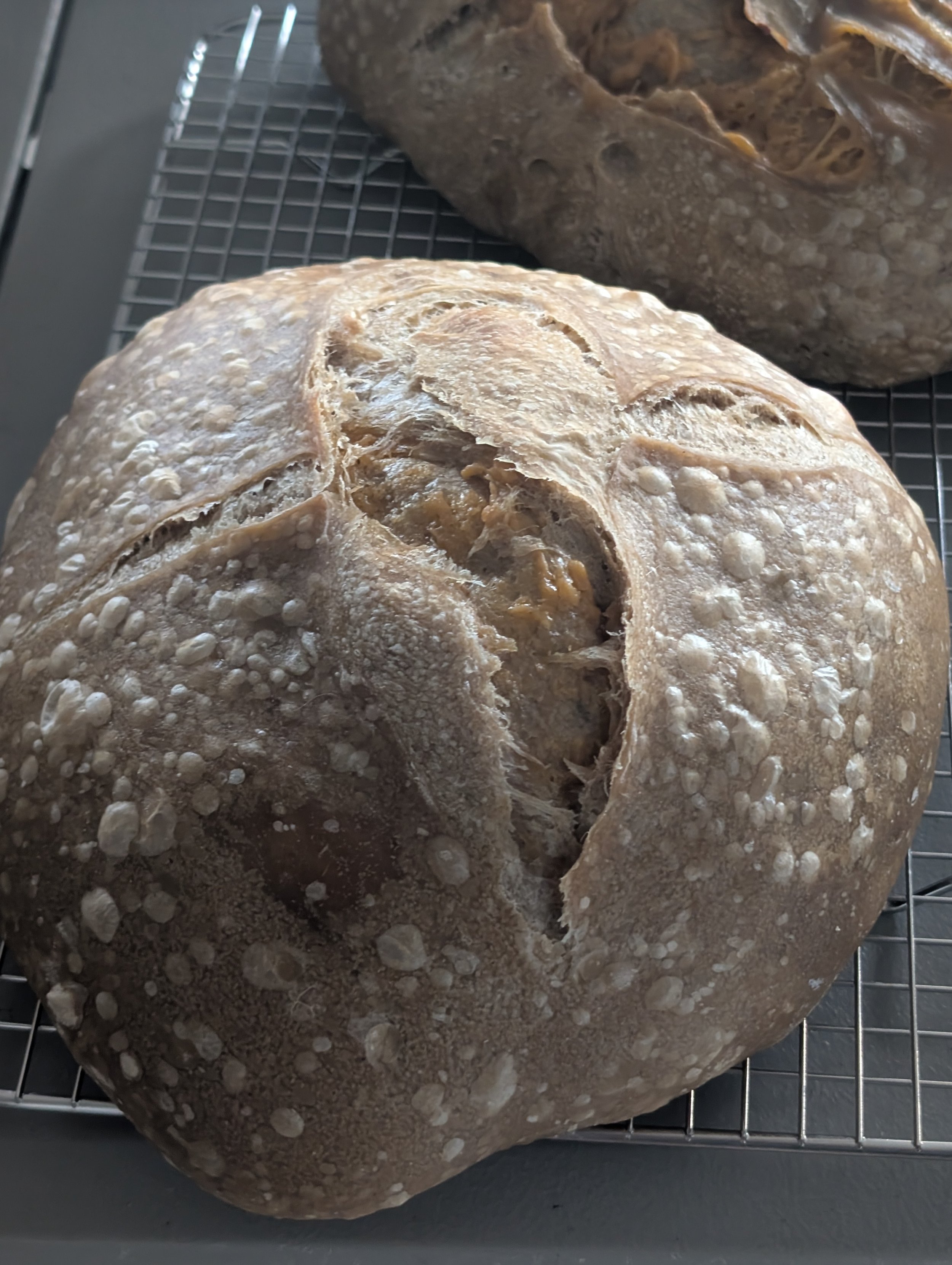 Jalepeno Cheddar Sourdough